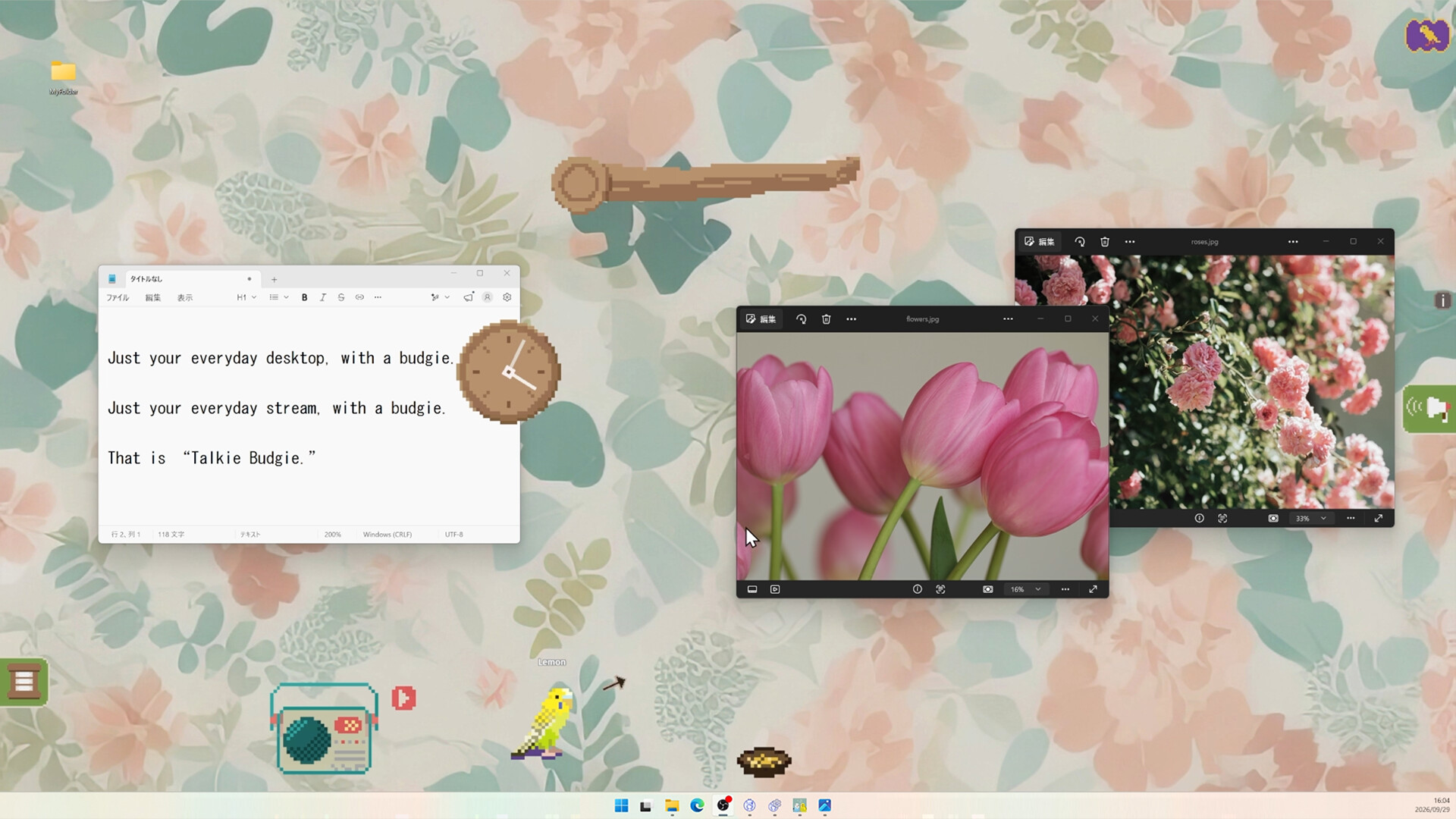 Talkie Budgie: Talks When Loved screenshot 3