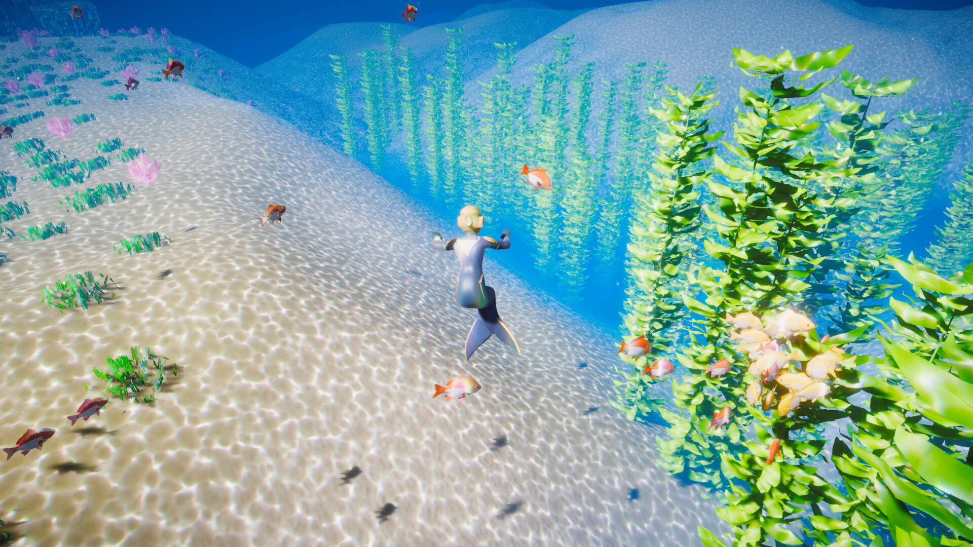 My Little Ocean trailer