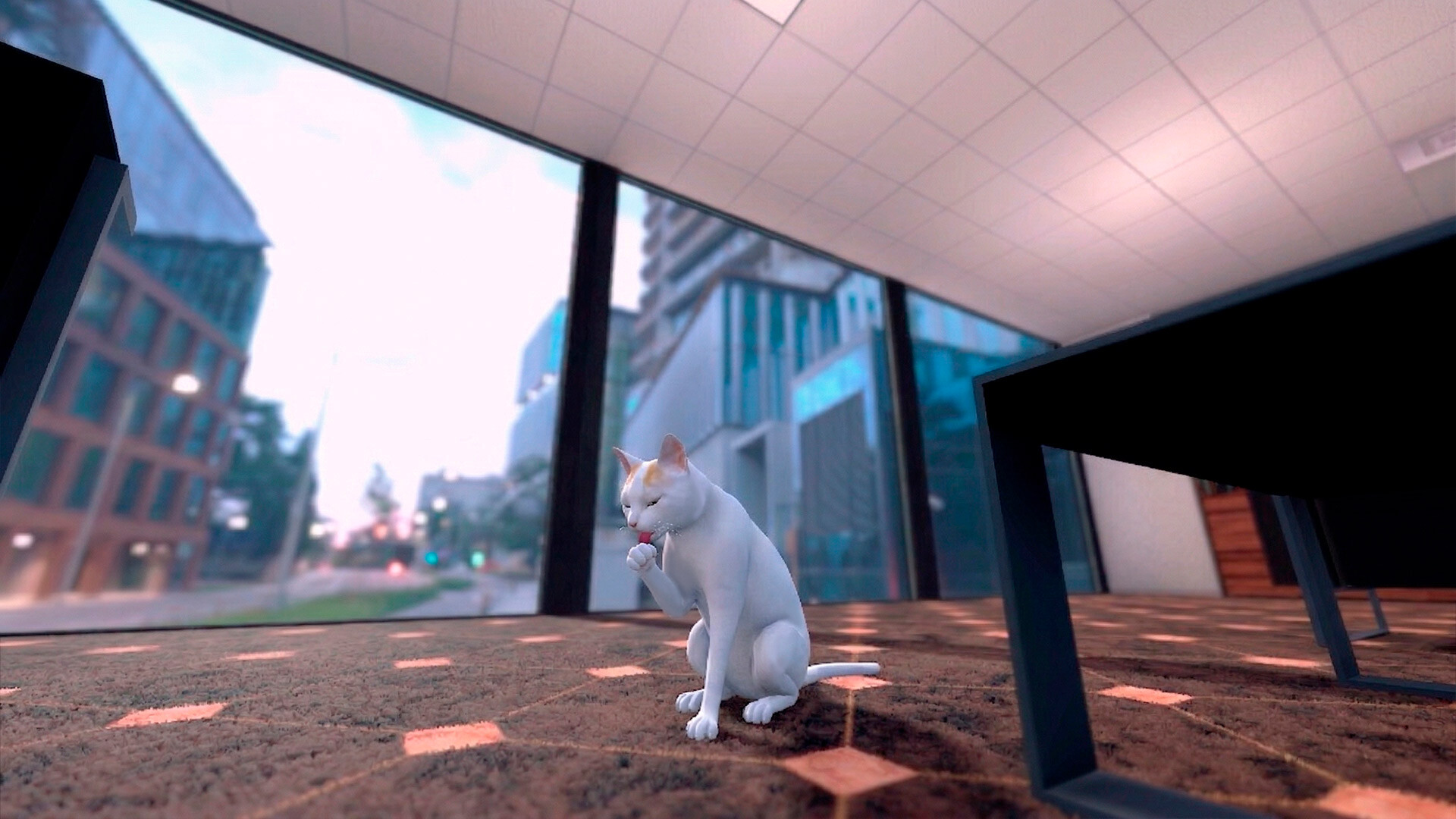 The Office Cat trailer