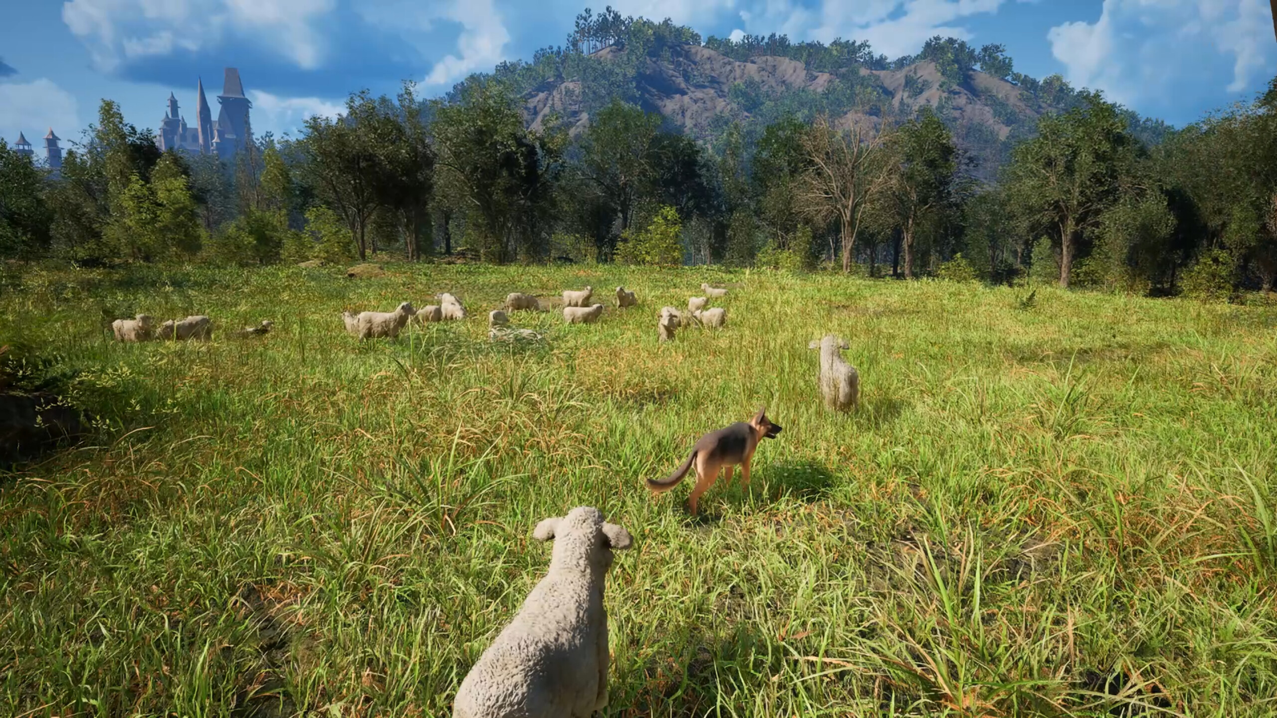 Medieval Shepherd trailer