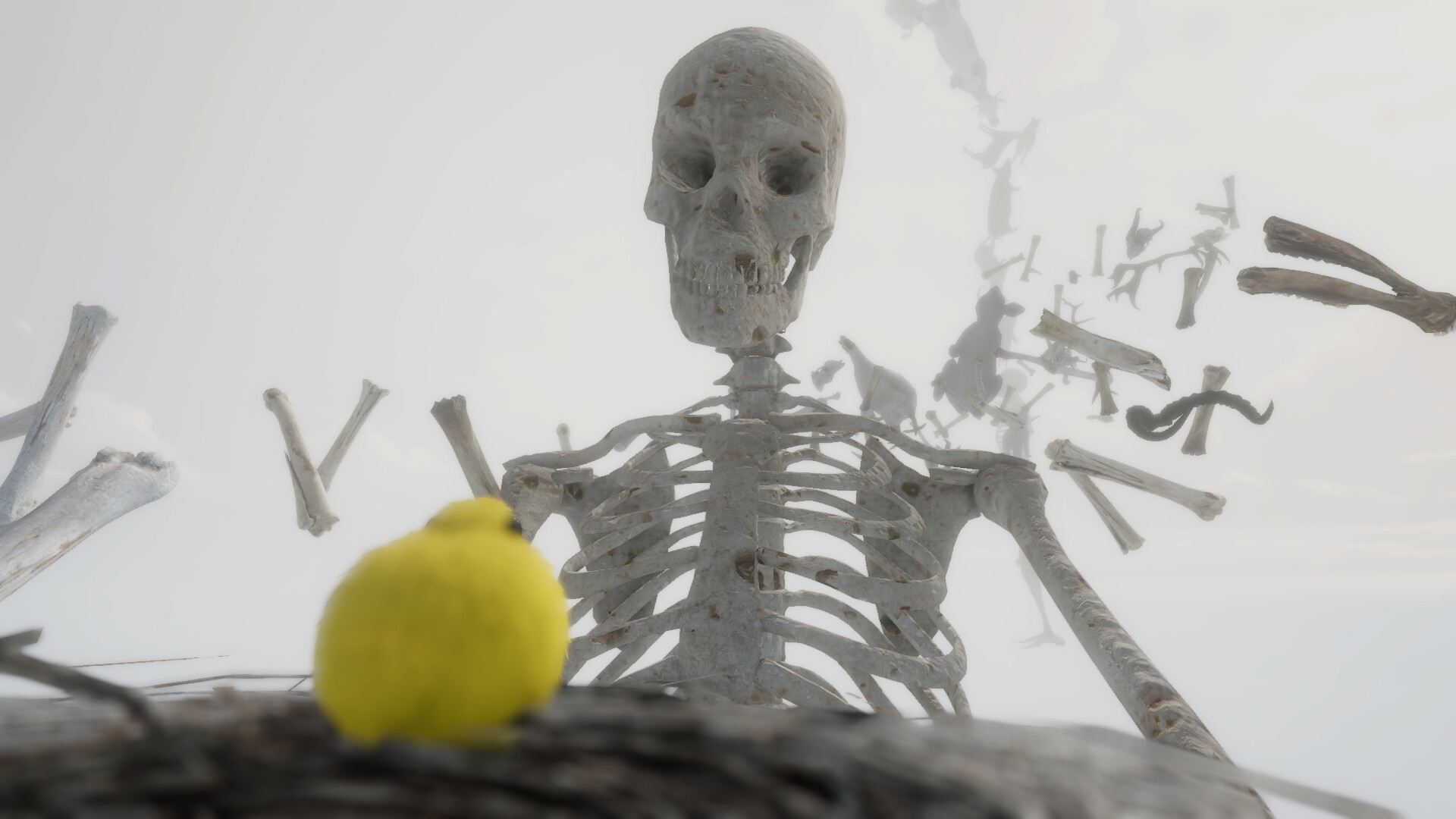 Birdslop screenshot 5