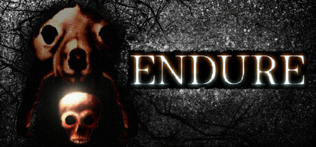 Cover art from ENDURE
