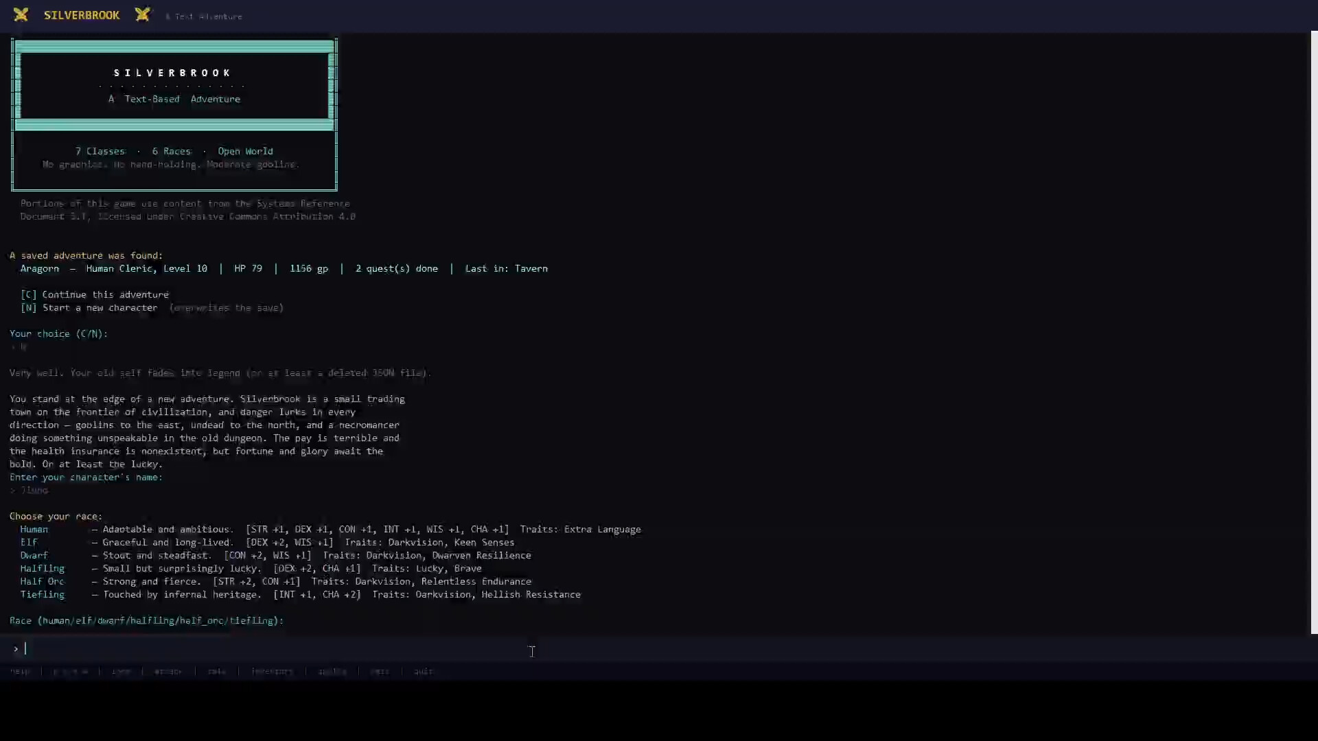 Silverbrook: a Text-Based RPG trailer