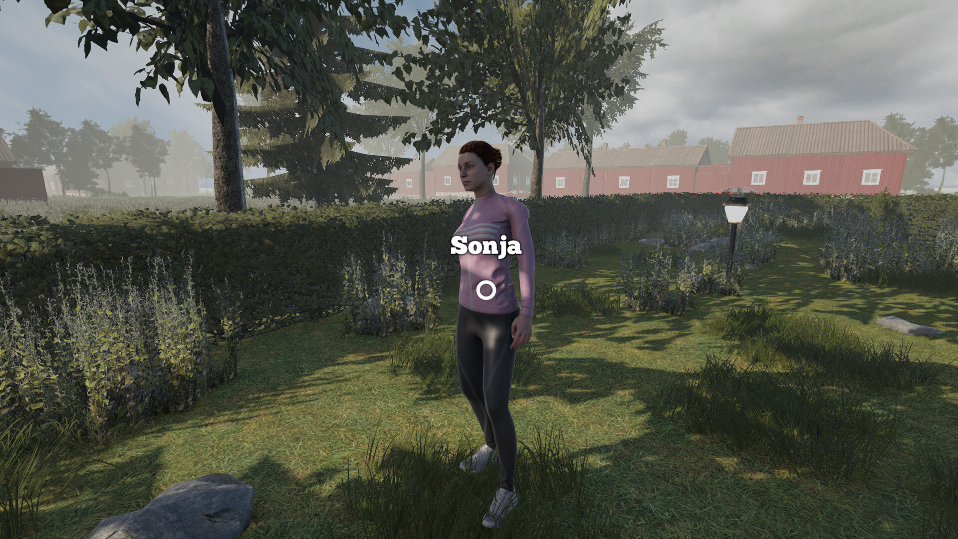 Happy Country screenshot 2