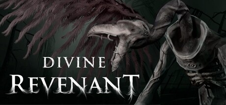 Cover art from Divine Revenant