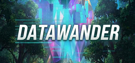 Cover art from DATAWANDER