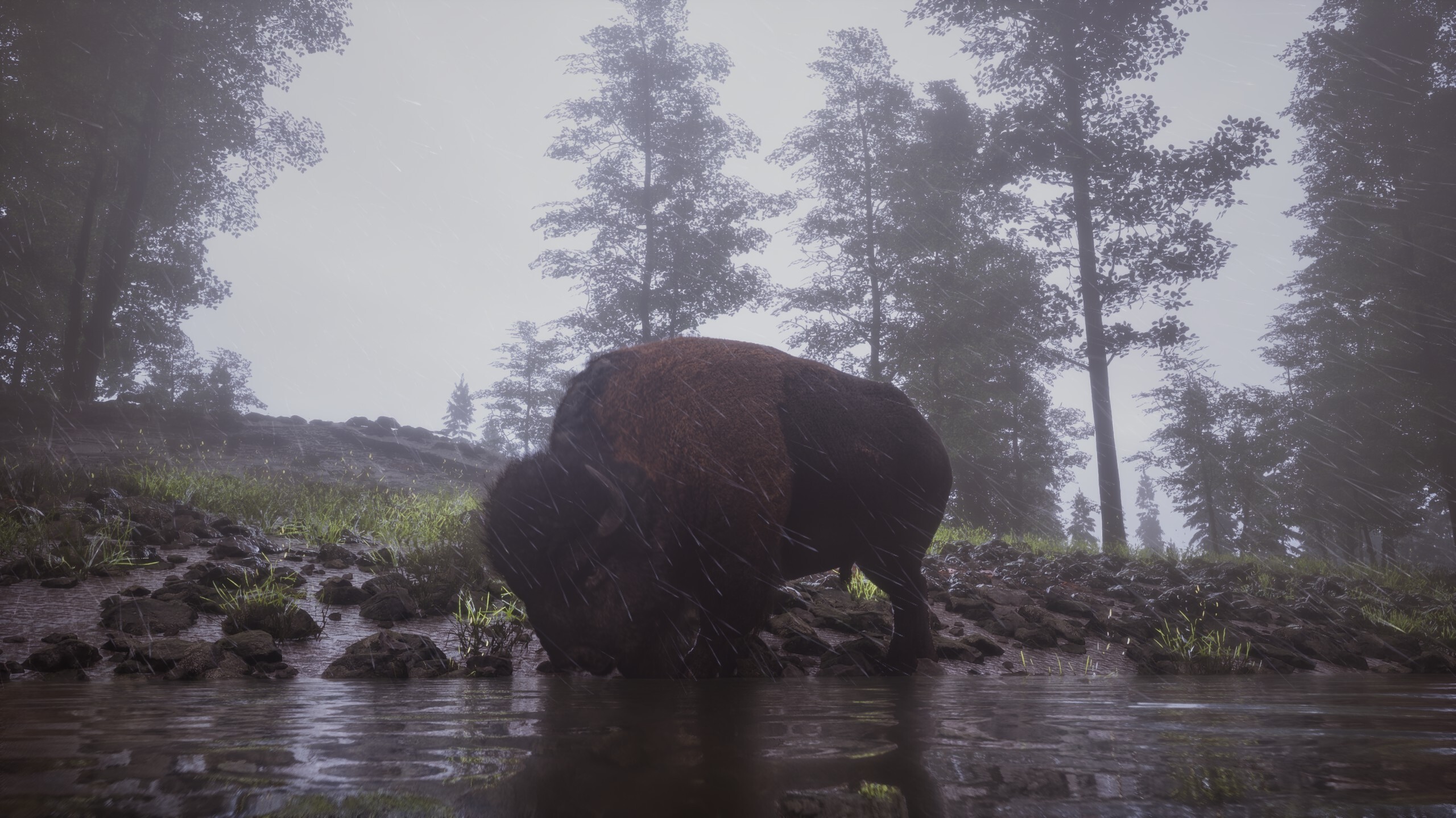 Habitat screenshot 2