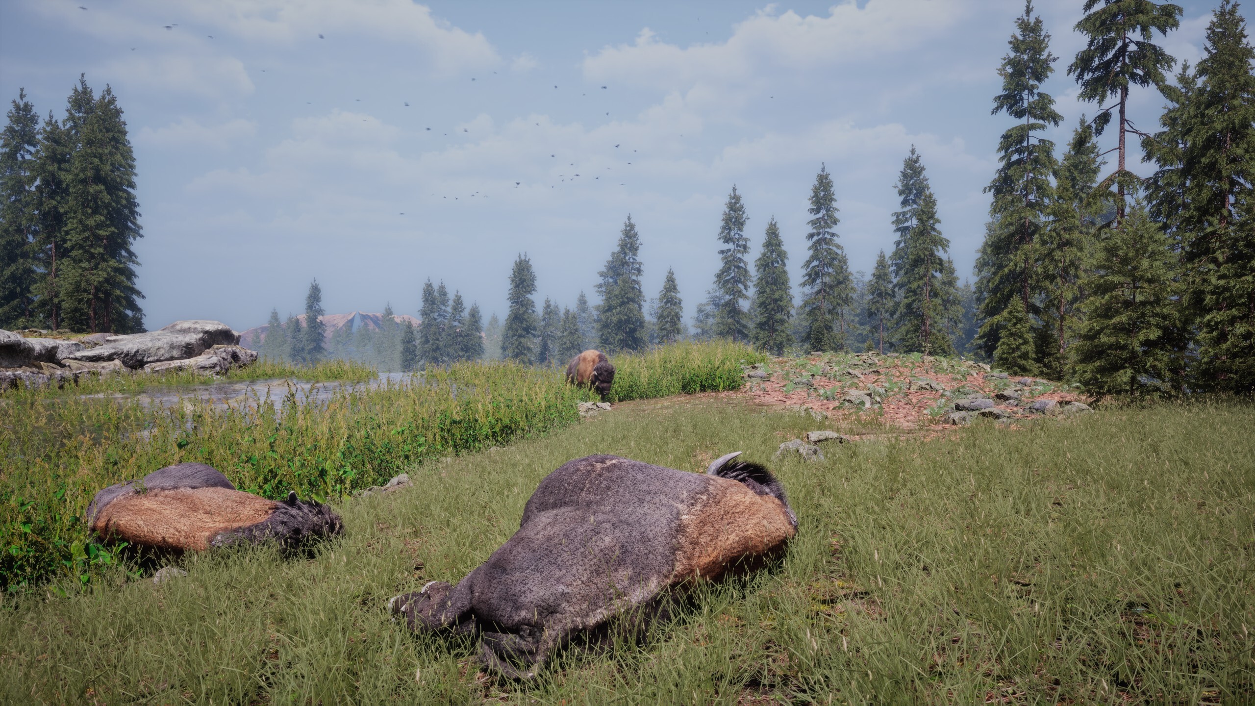 Habitat screenshot 4