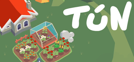 Cover art from Tún