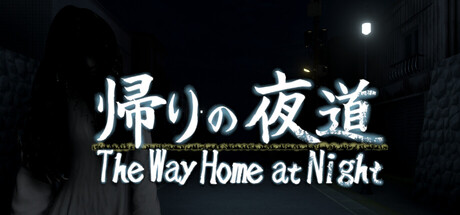 The Way Home at Night