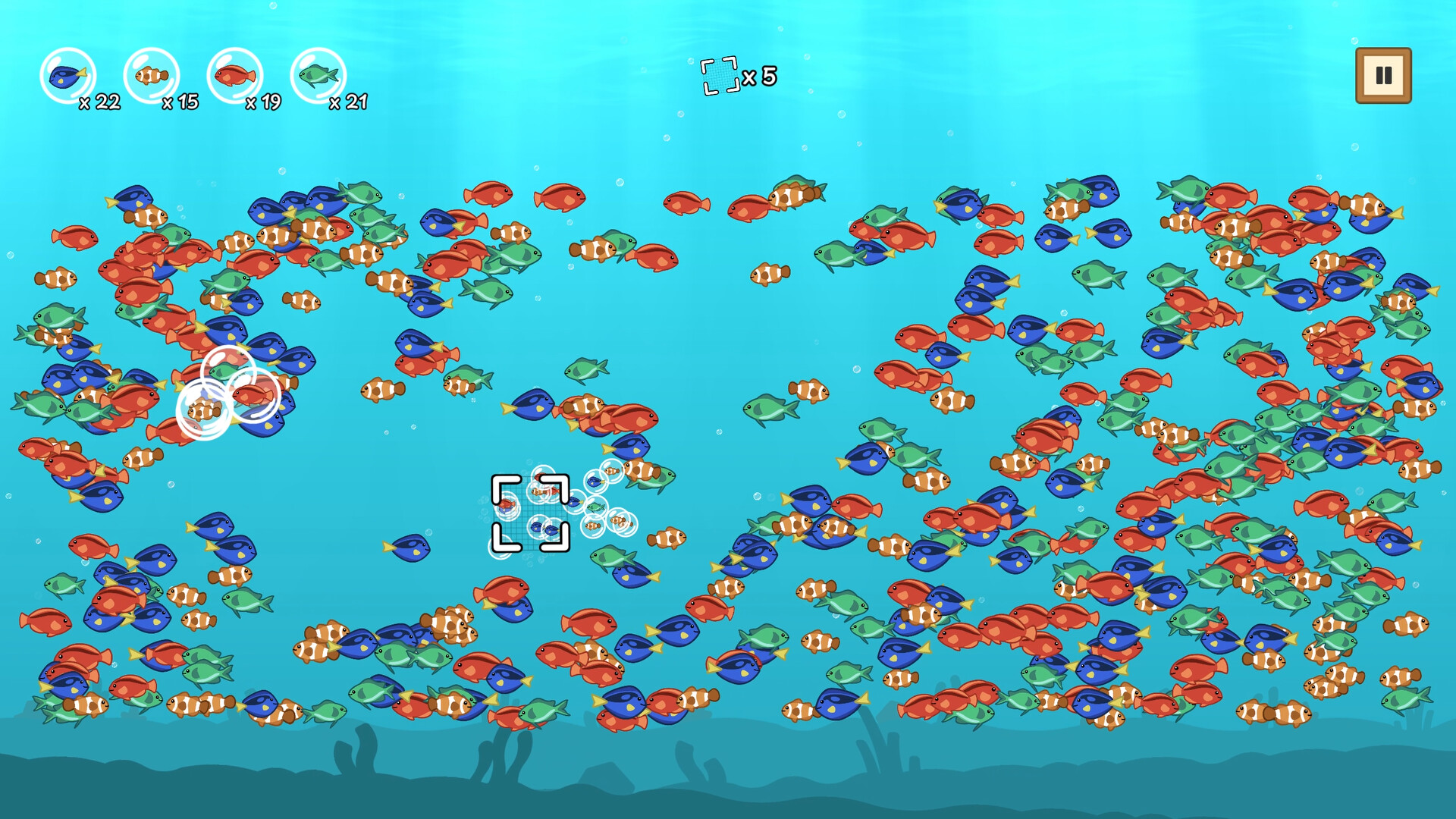 Coco's Beachquarium screenshot 5