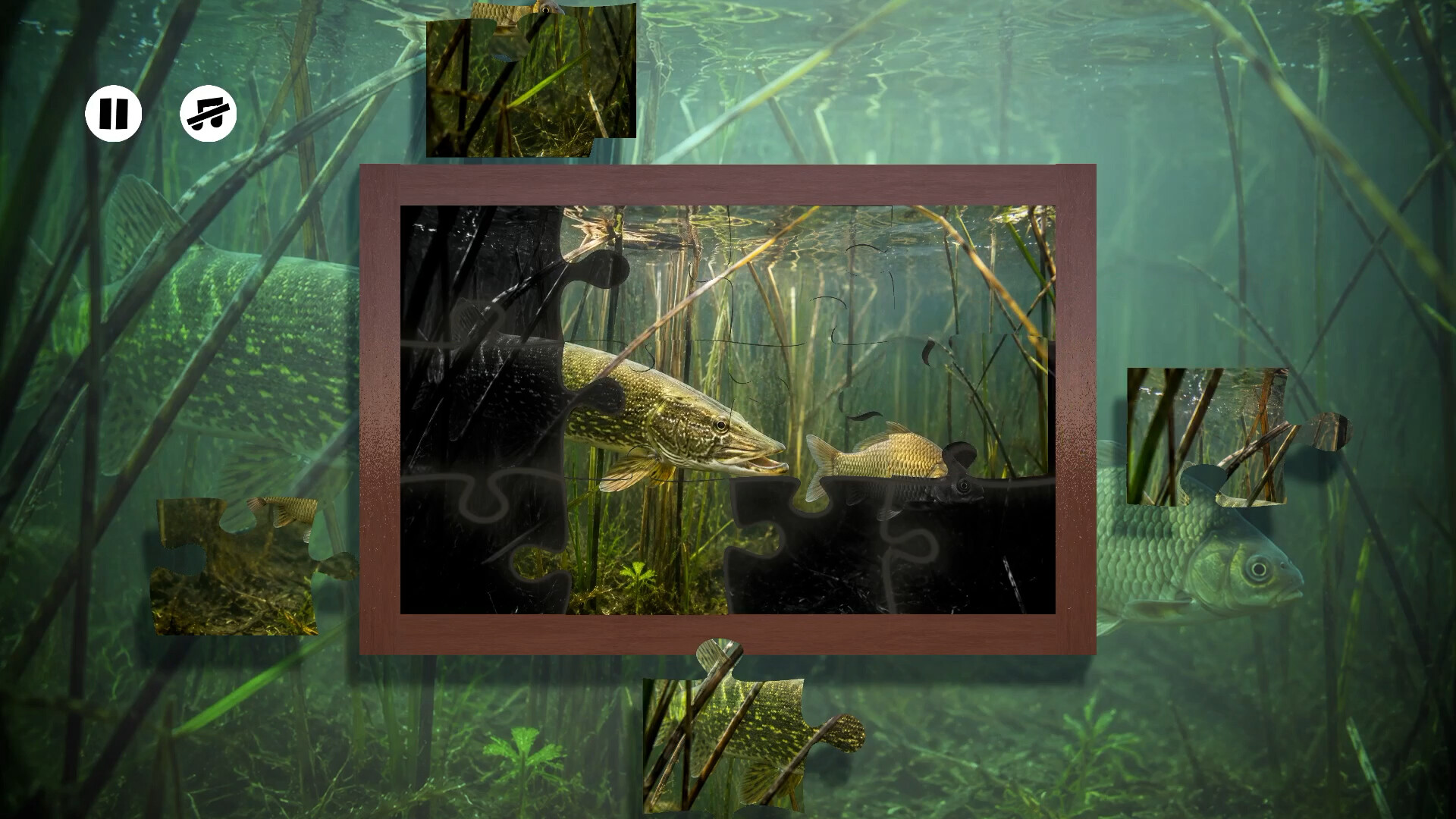 Puzzles: Fish trailer
