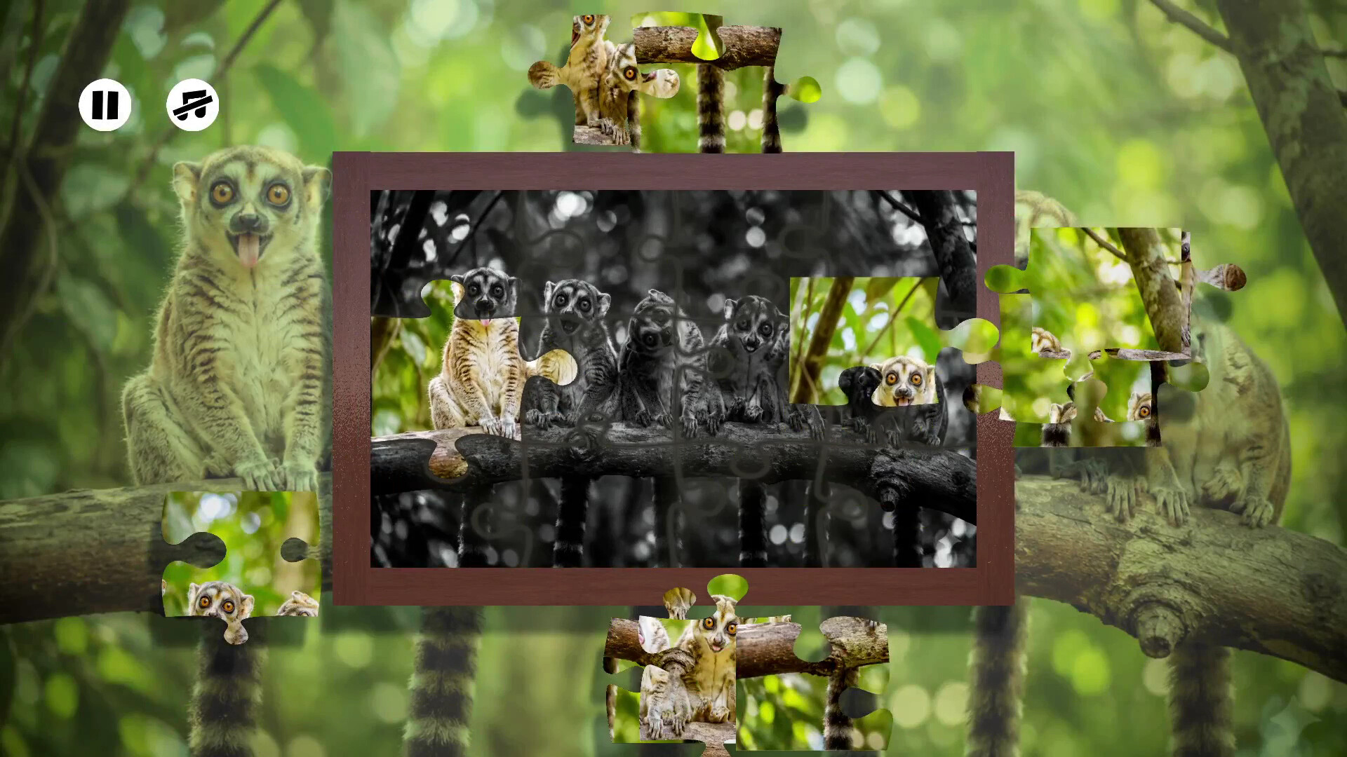 Puzzles: Monkey screenshot 5