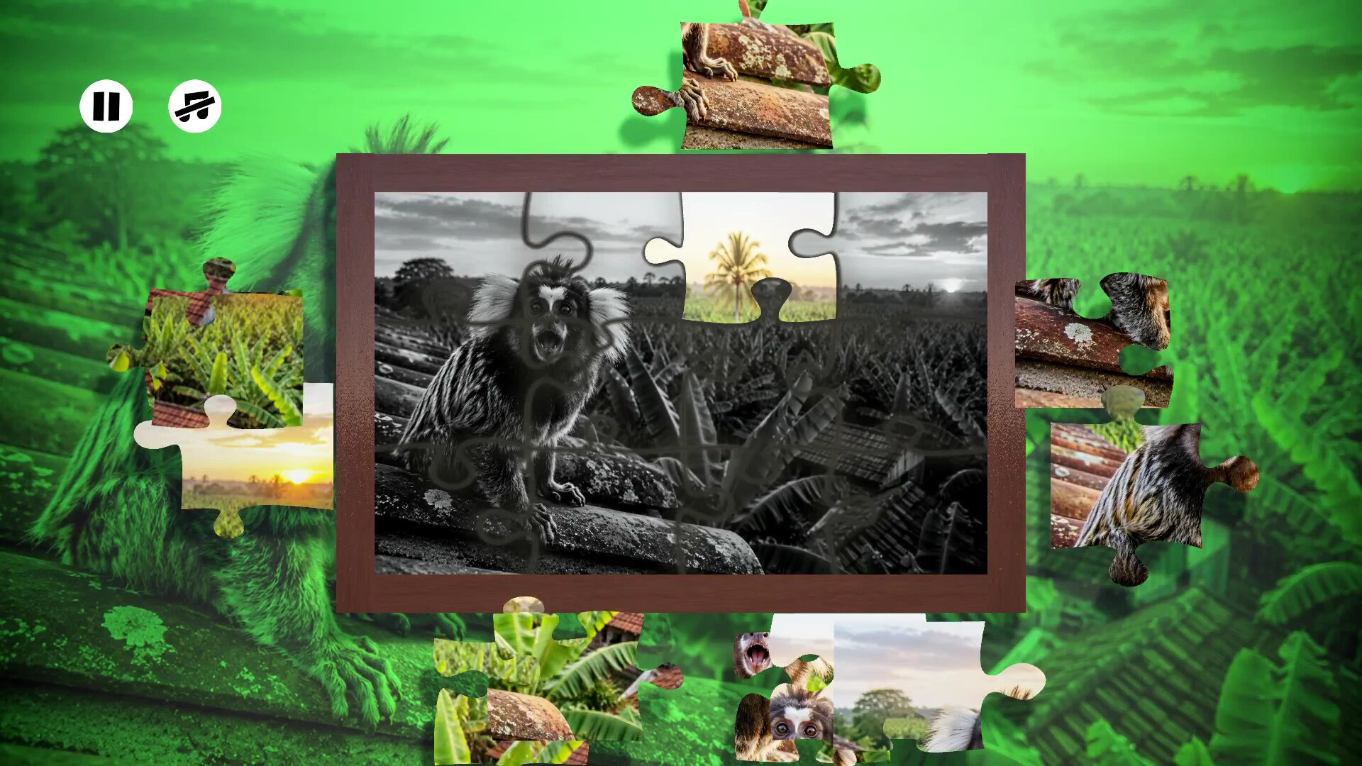 Puzzles: Monkey screenshot 4