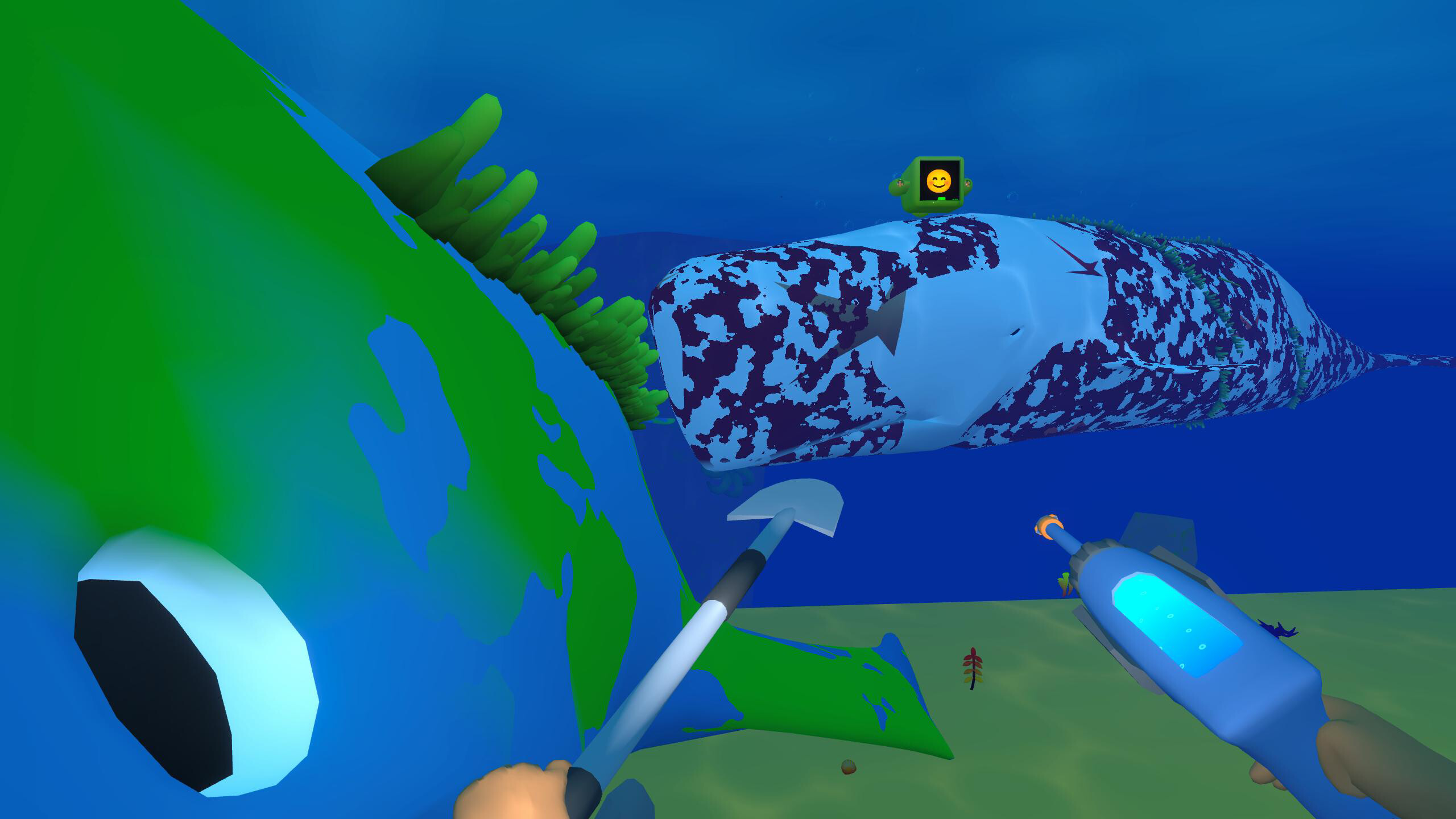 Bodian's Bay Wash screenshot 2