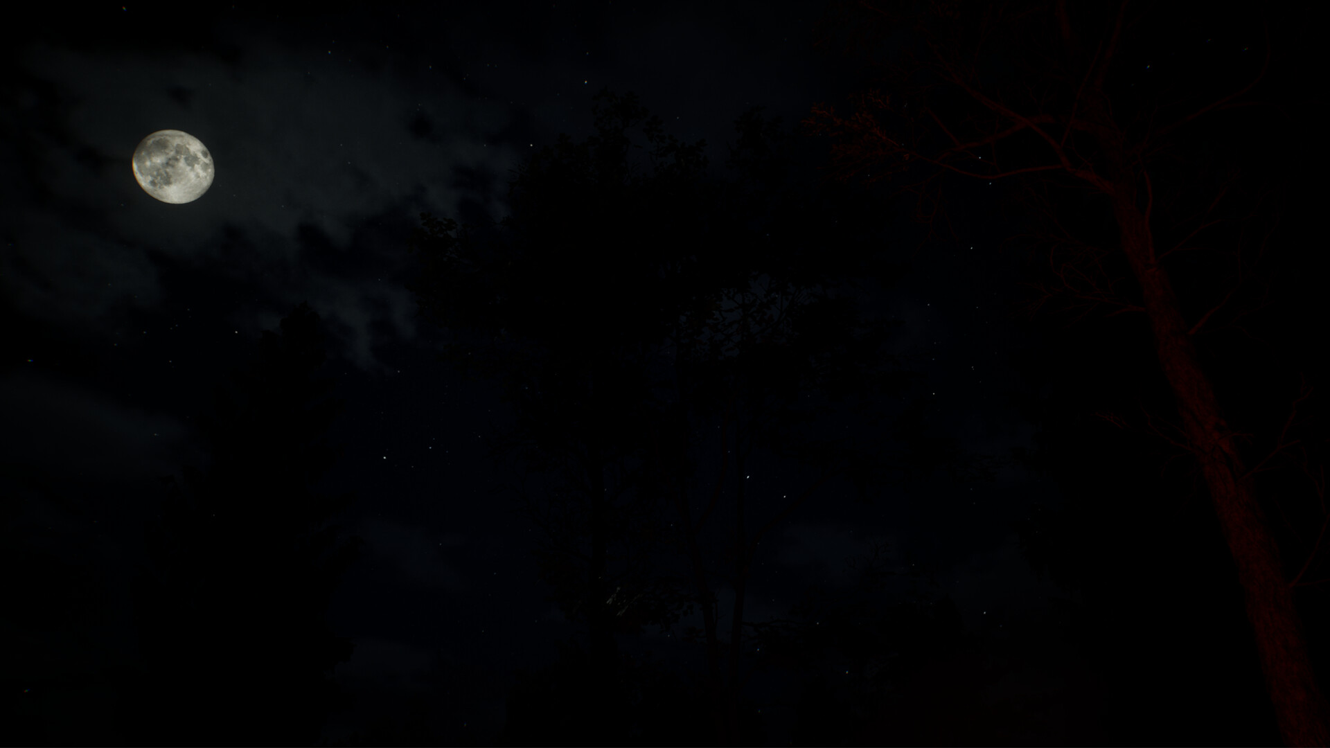 Echo Ridge screenshot 4