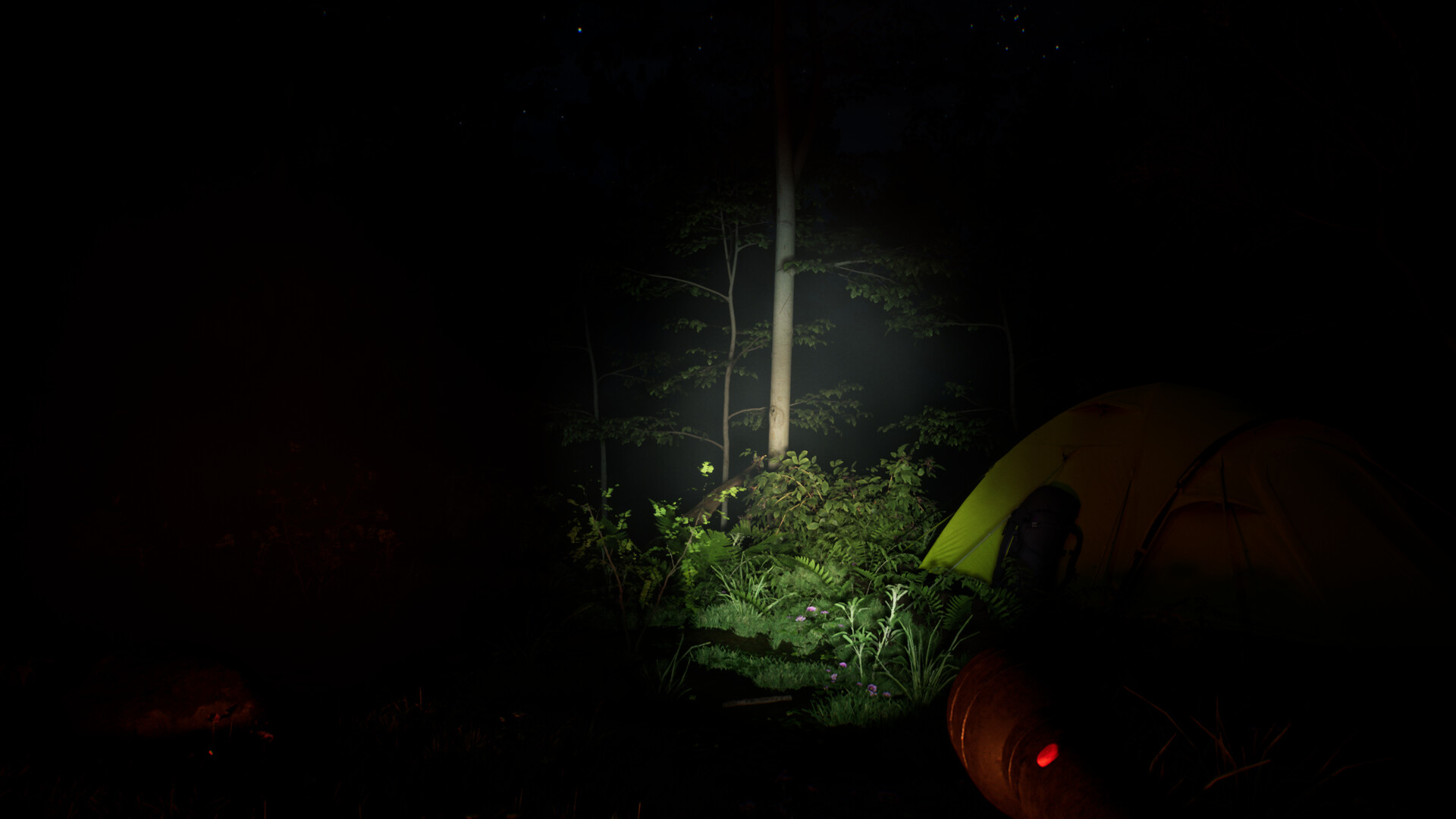 Echo Ridge screenshot 2