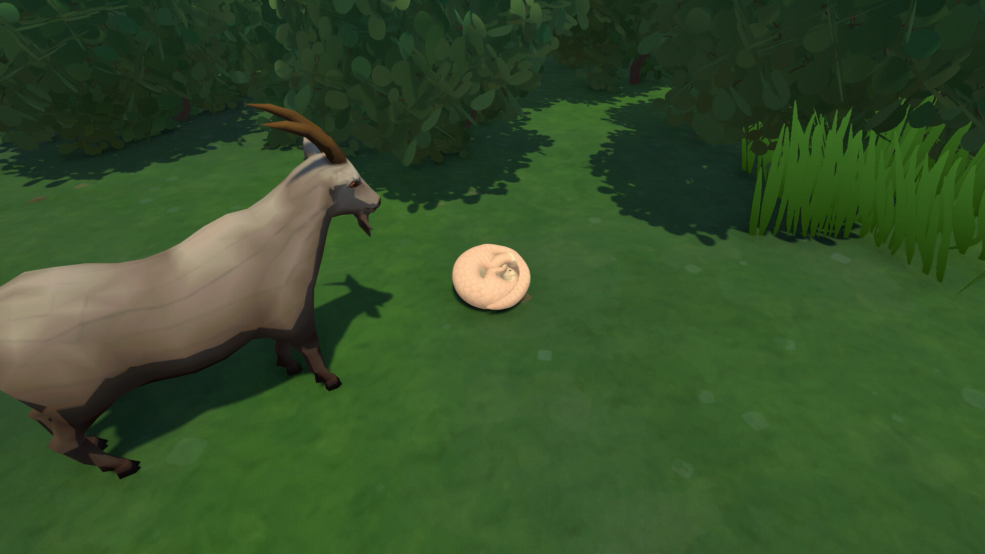 Pangy: Into The City screenshot 4