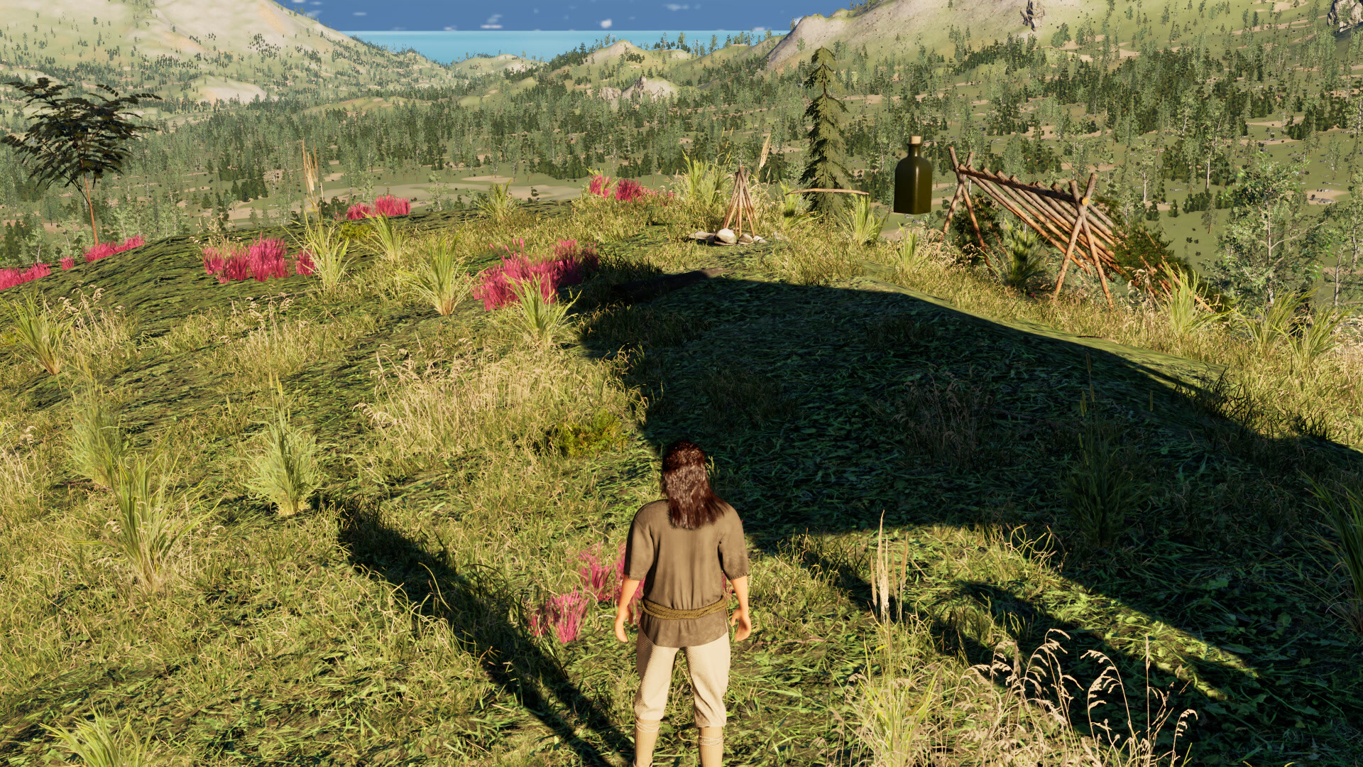 Wildreach screenshot 2