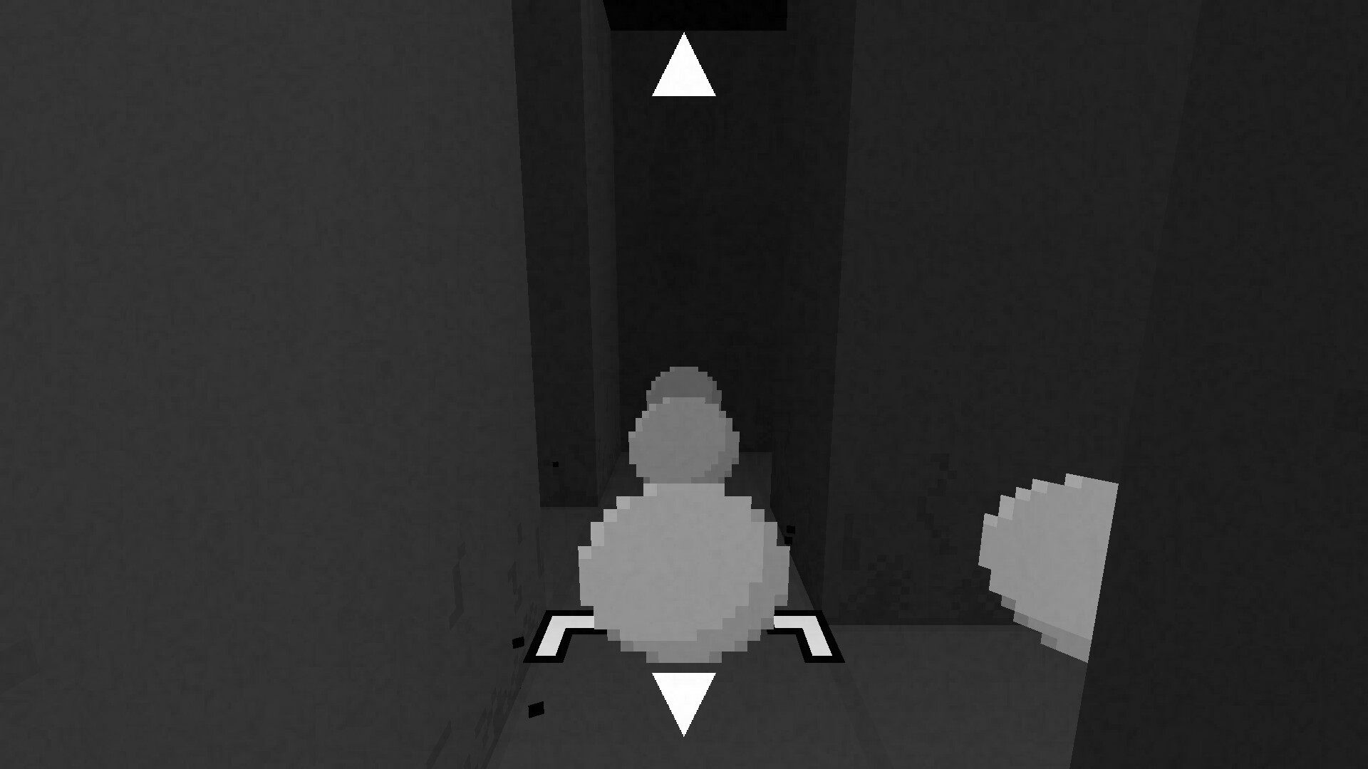 Voluntary Isolation screenshot 4