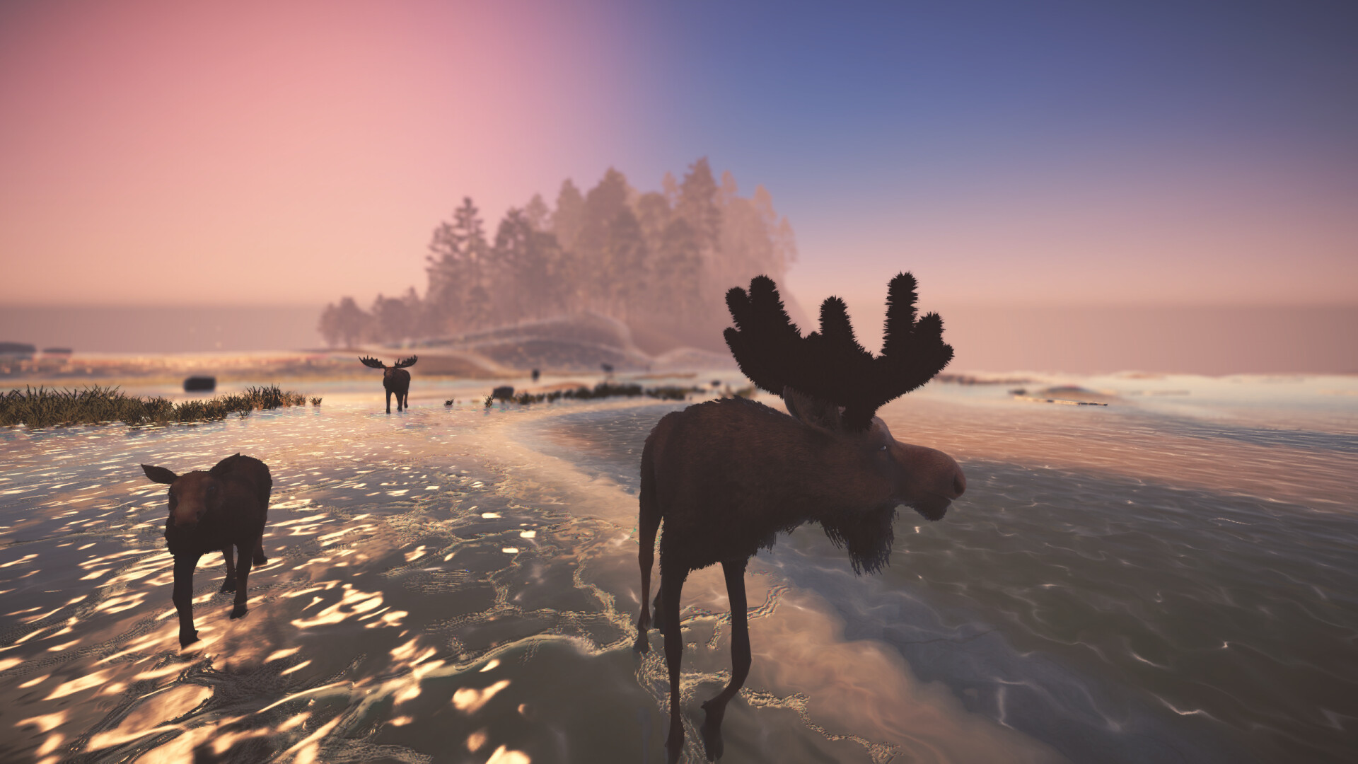Moose Migration screenshot 4