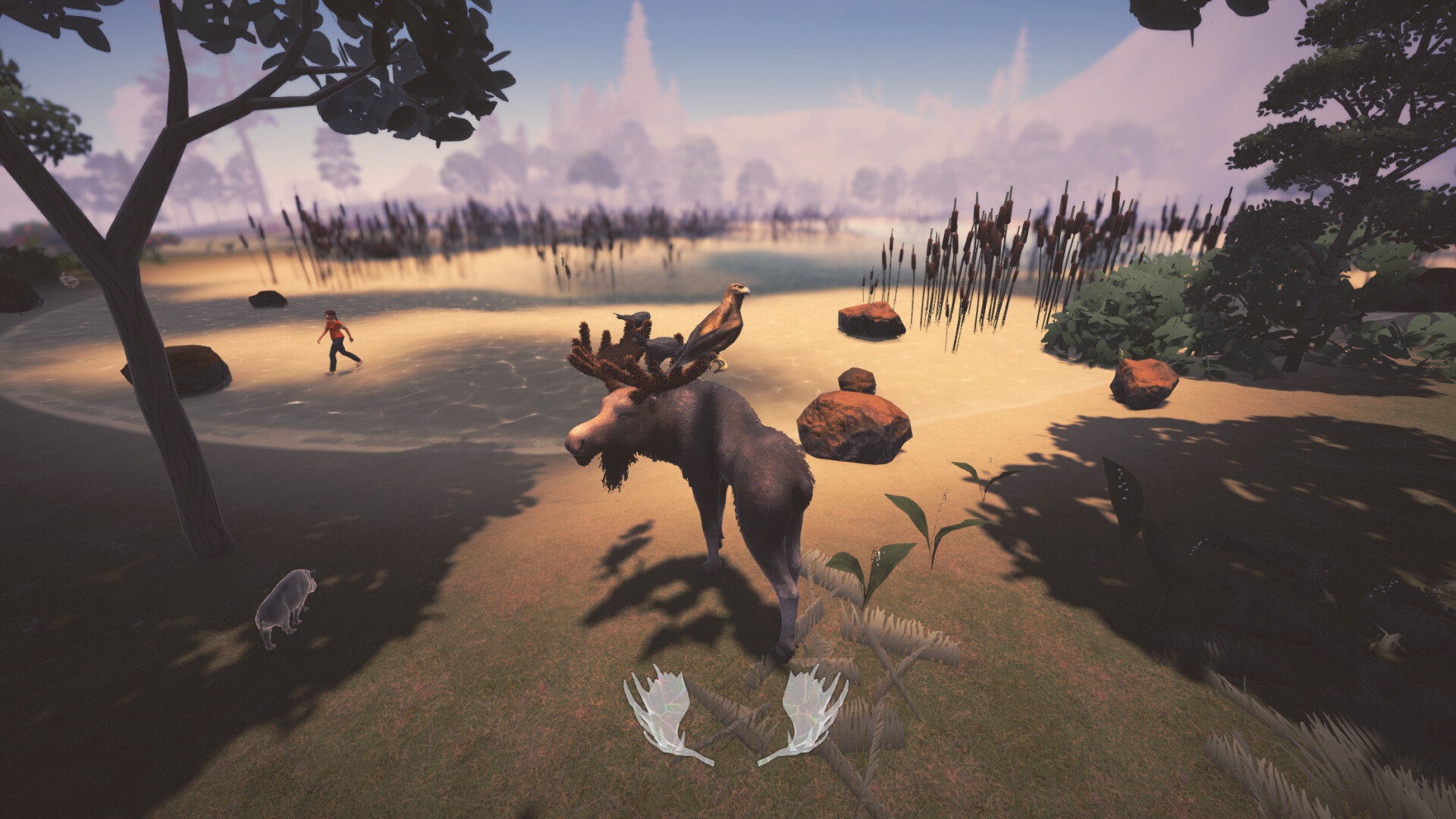 Moose Migration trailer