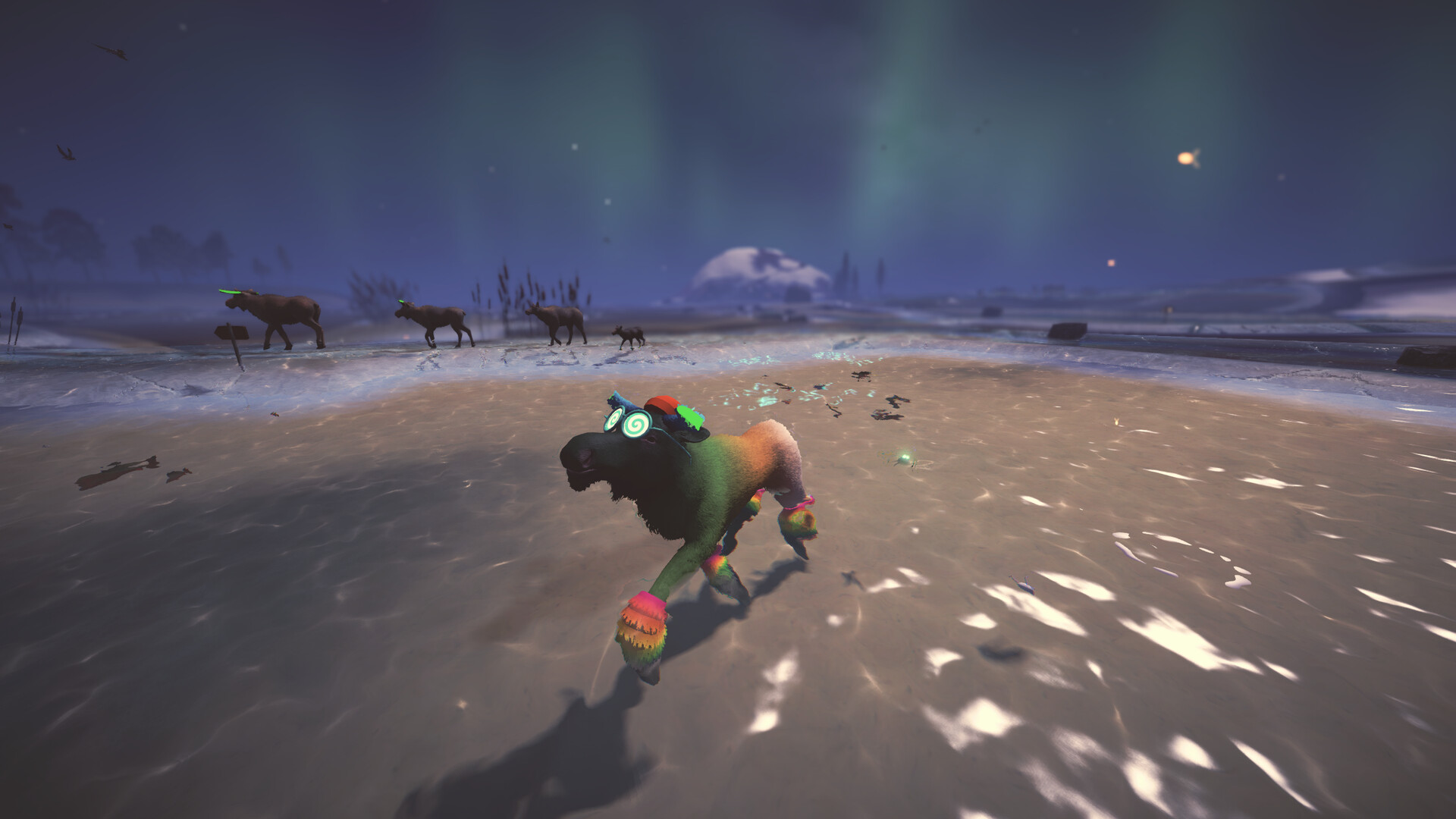 Moose Migration trailer