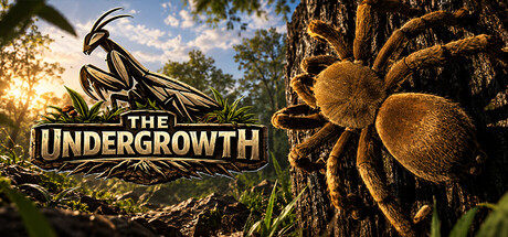 Cover art from The Undergrowth