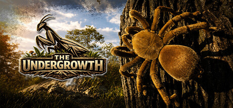 The Undergrowth