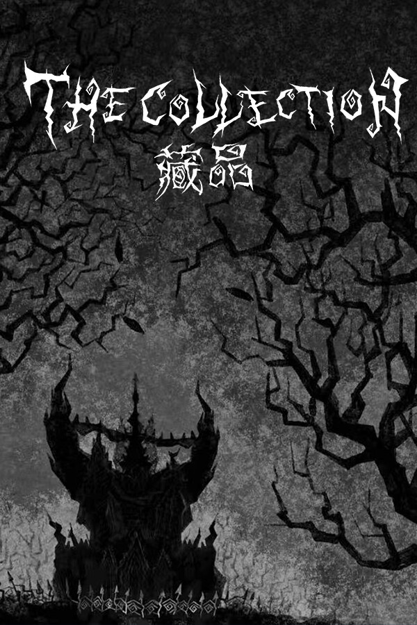 The Collection藏品