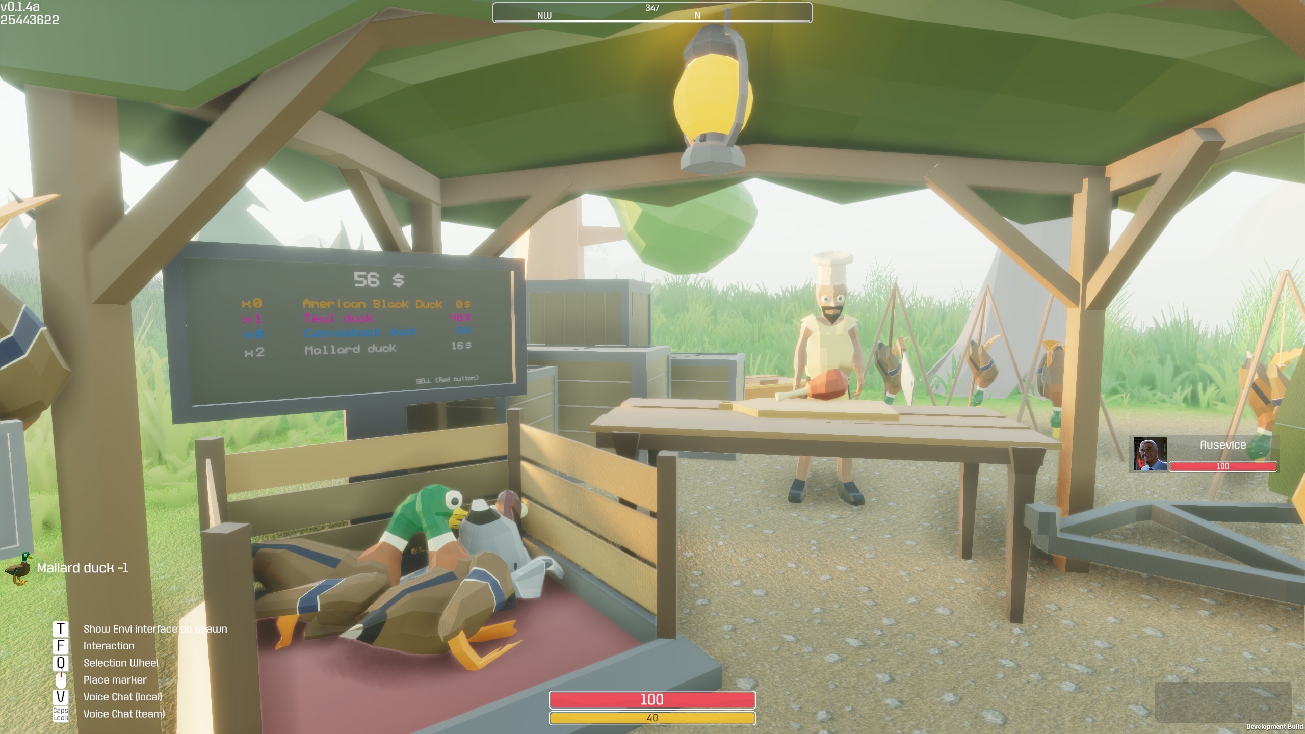 Counter Ducks trailer