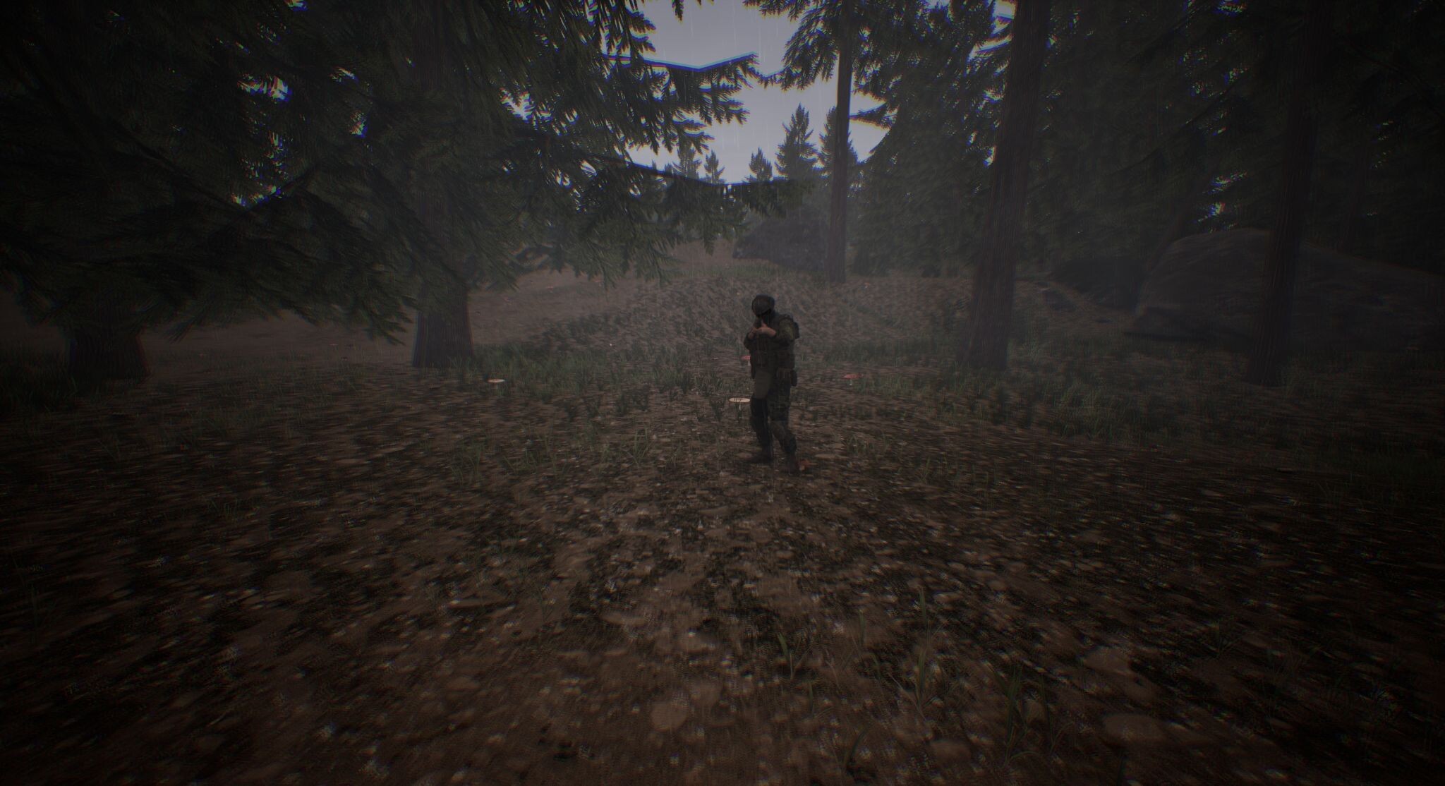 Bullets & Boletes trailer