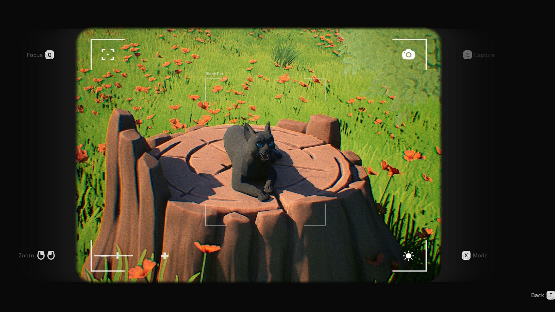 Cat a Photo screenshot 3