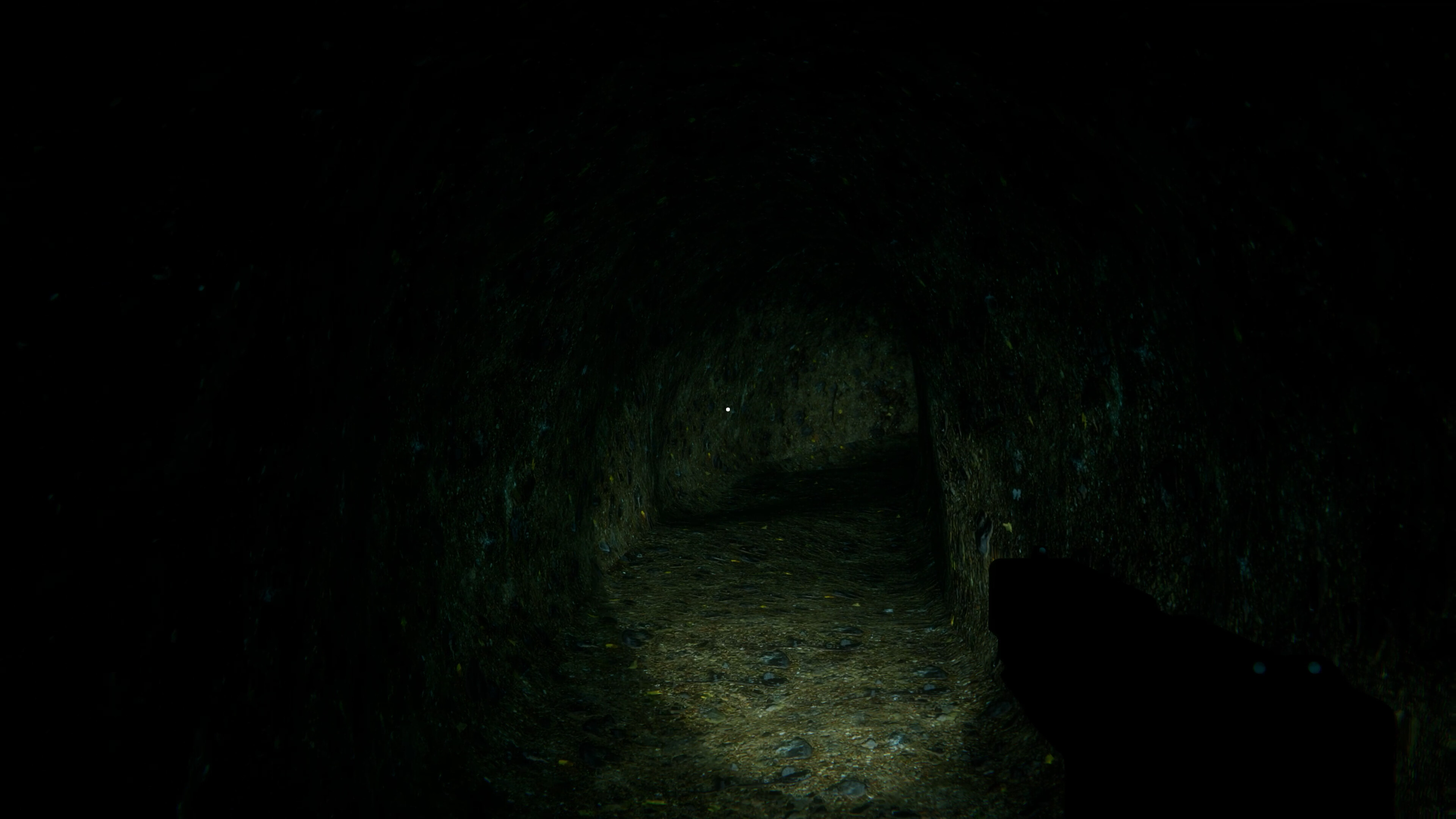 The Circus That Never Left screenshot 5