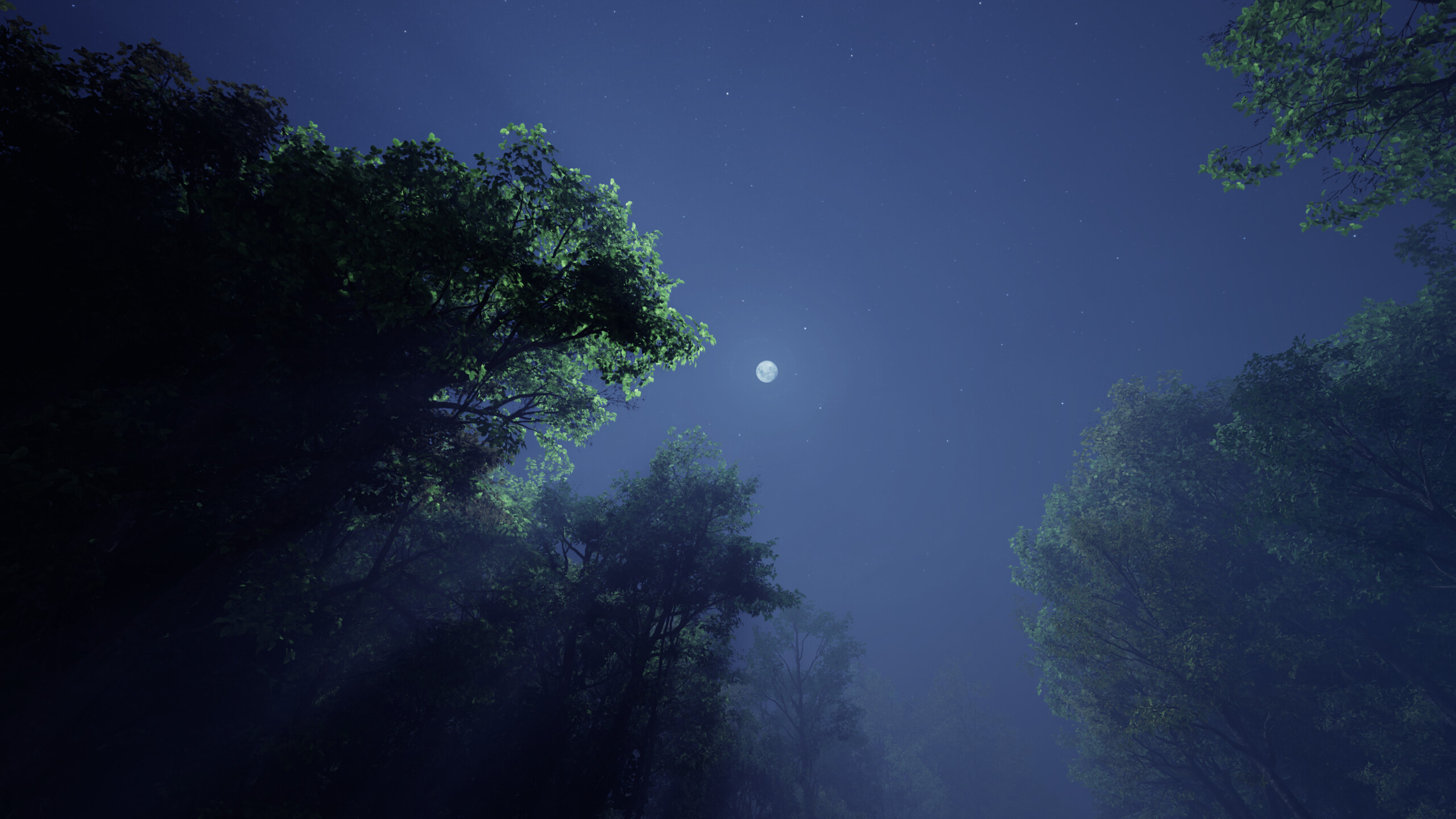 As the Sky Fades screenshot 2