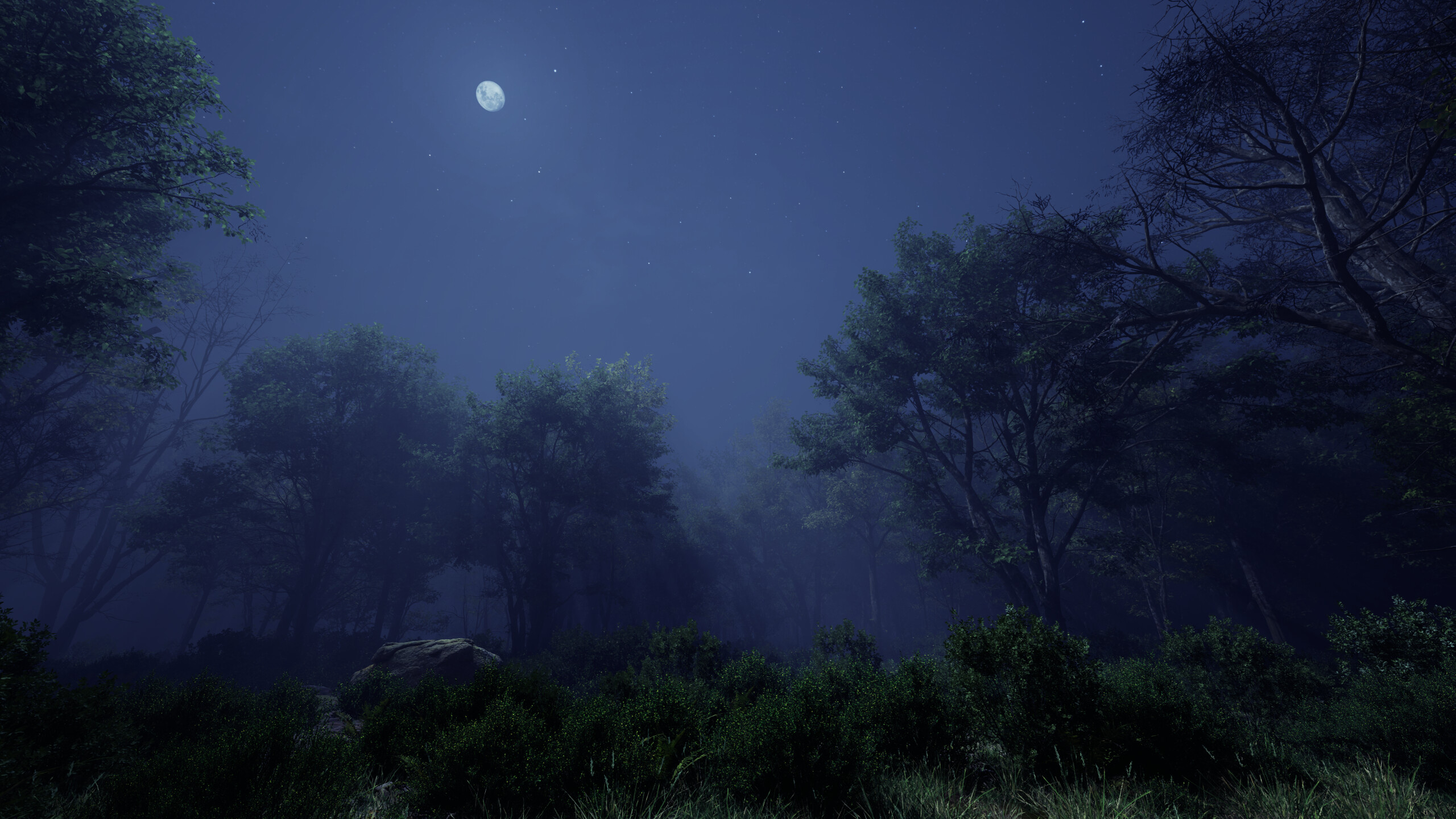 As the Sky Fades screenshot 4