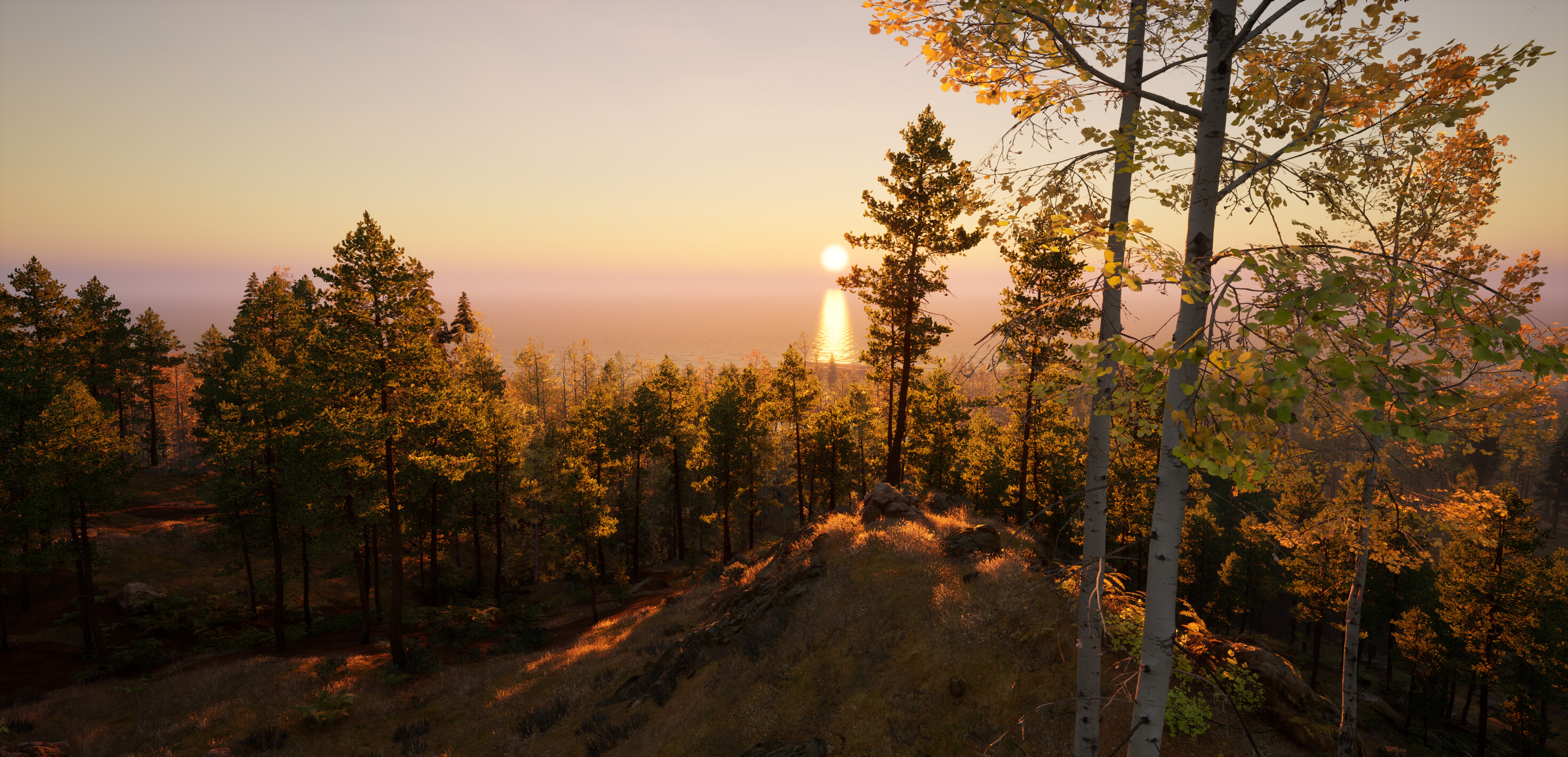 ISLAND：THE LAST screenshot 5