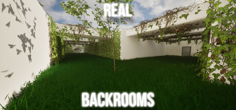 Cover art from Real backrooms
