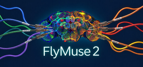 FlyMuse  2