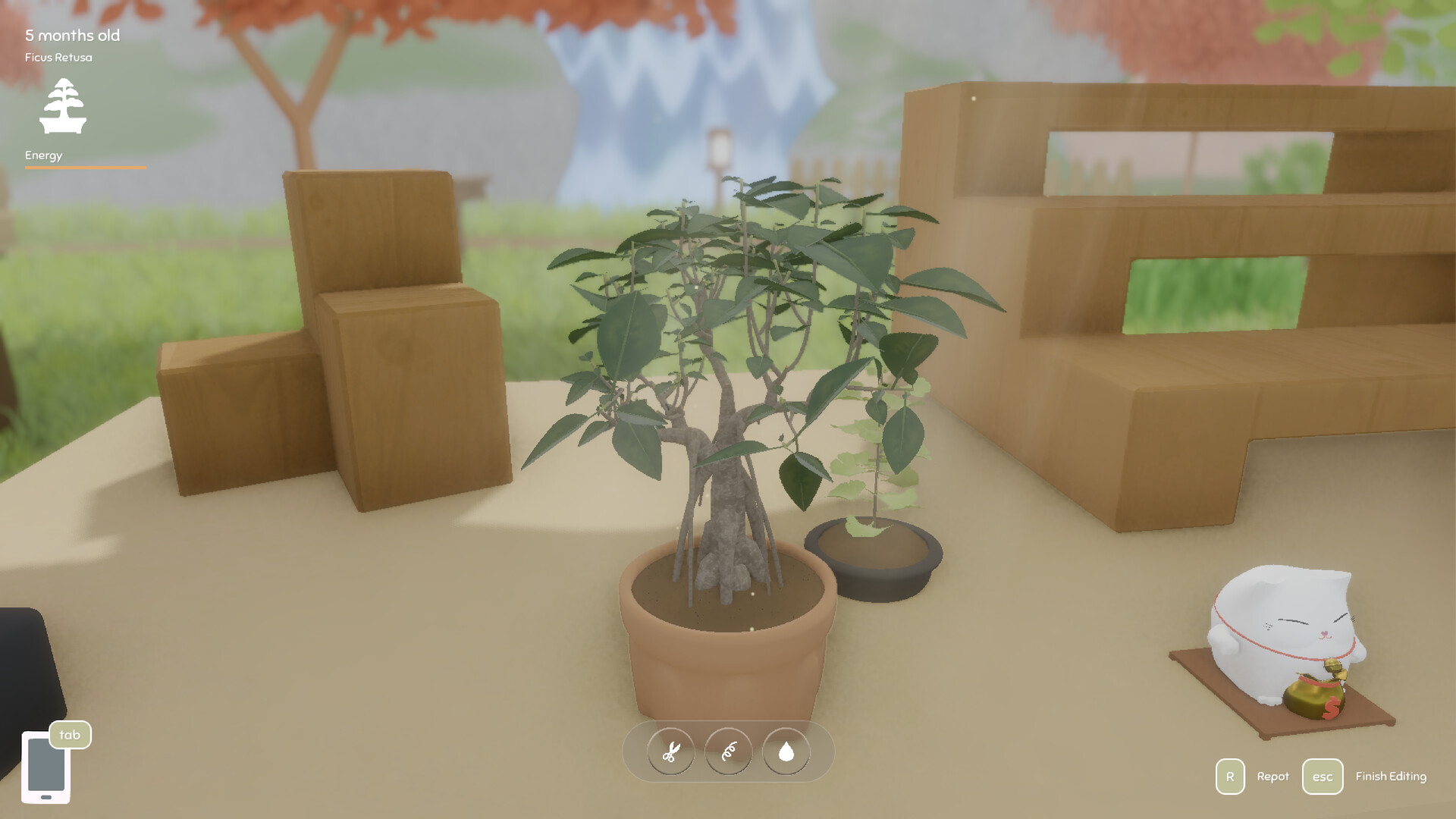 Bonsai Island trailer