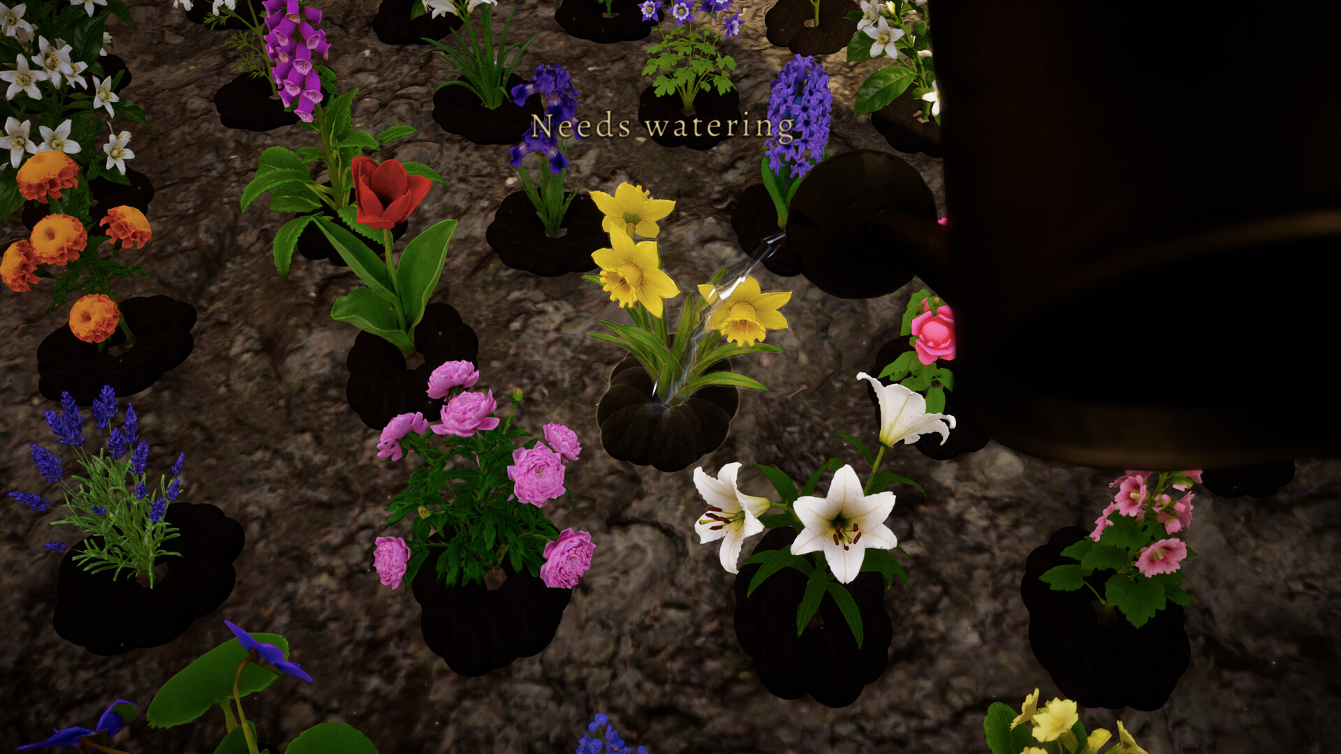 Maria IV: A Cozy Botanical Sim screenshot 3