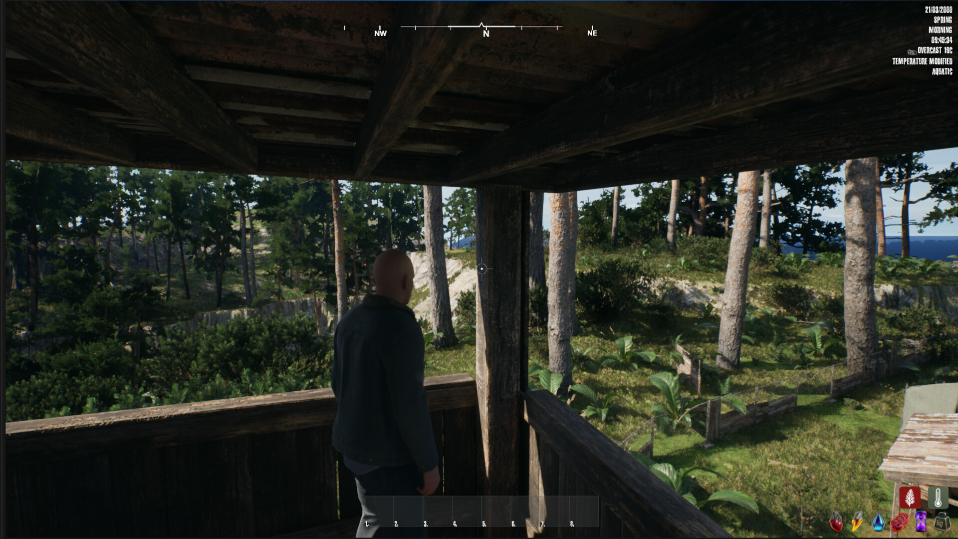Hollow Cedar screenshot 3