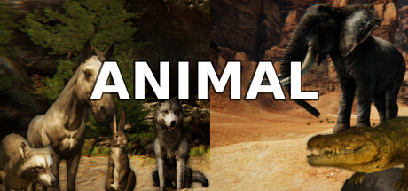 Animal