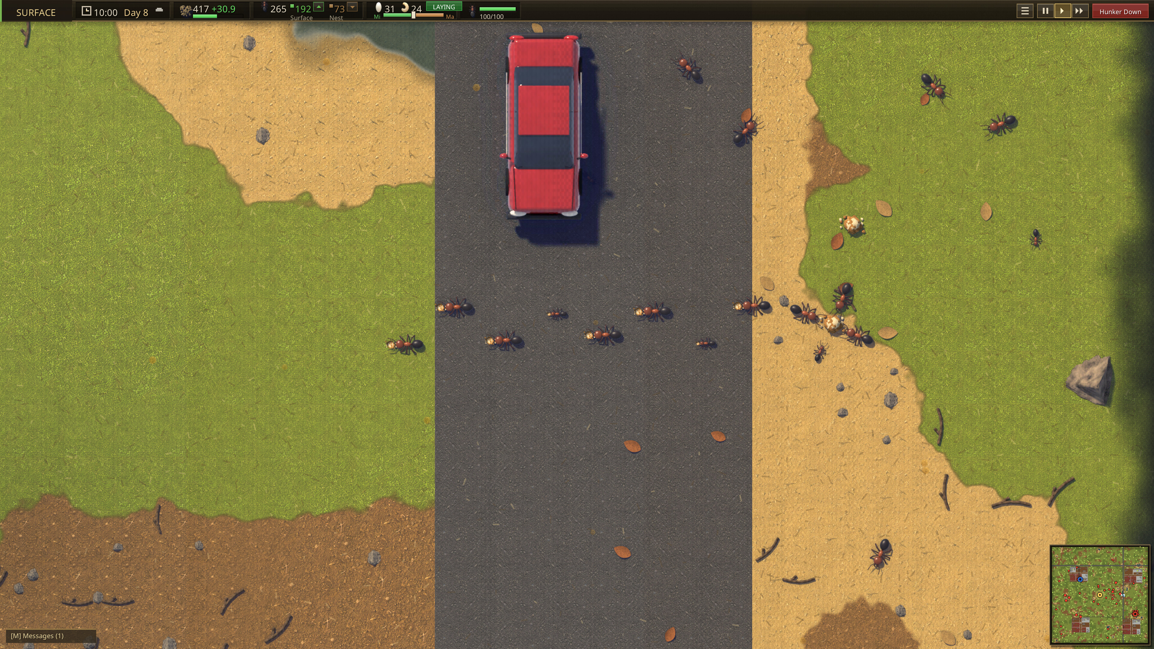 Antopolis: The Ant Colony Simulator screenshot 3