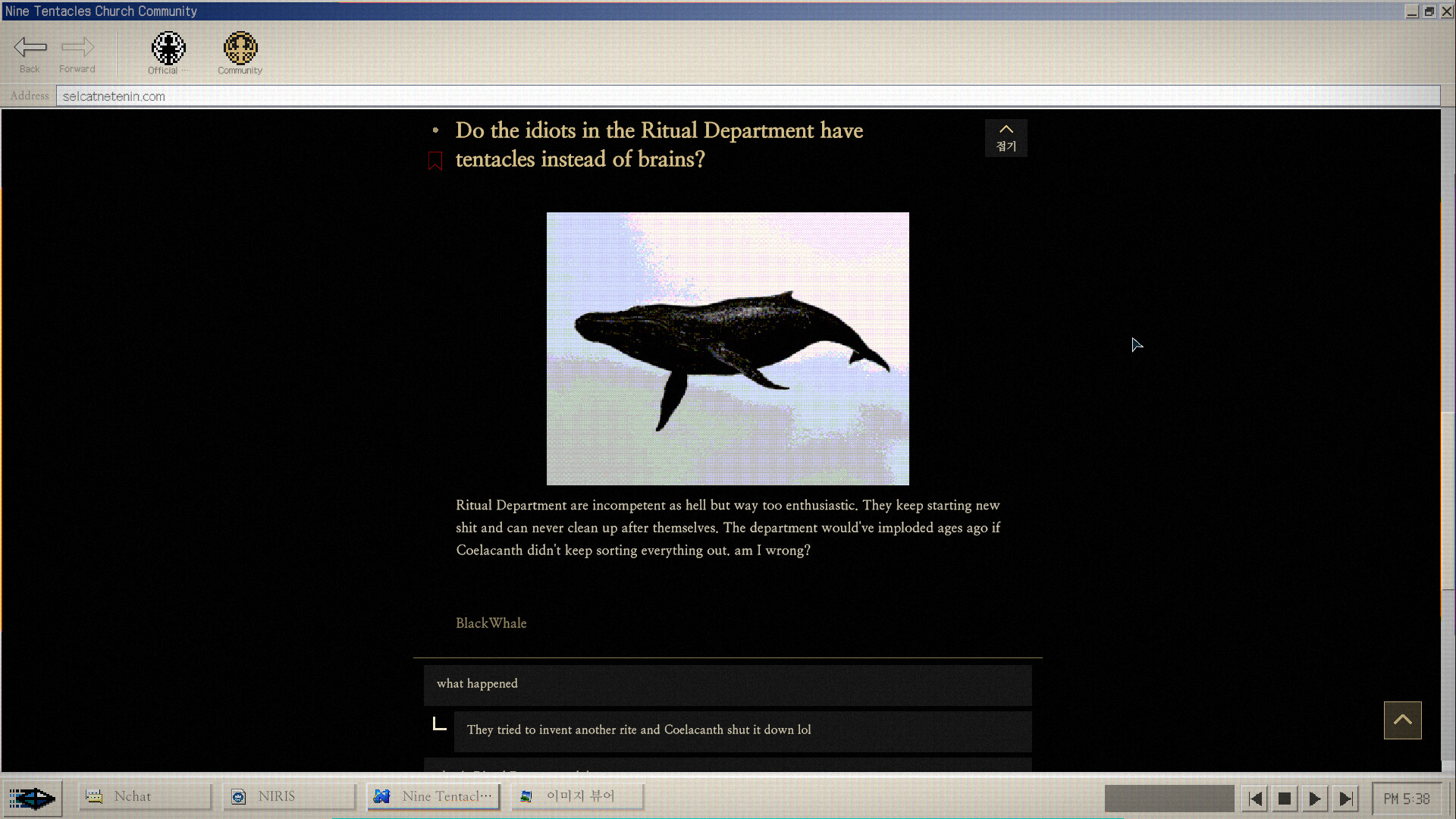 No Results Found screenshot 3
