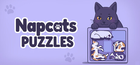 Cover art from Napcats Puzzles