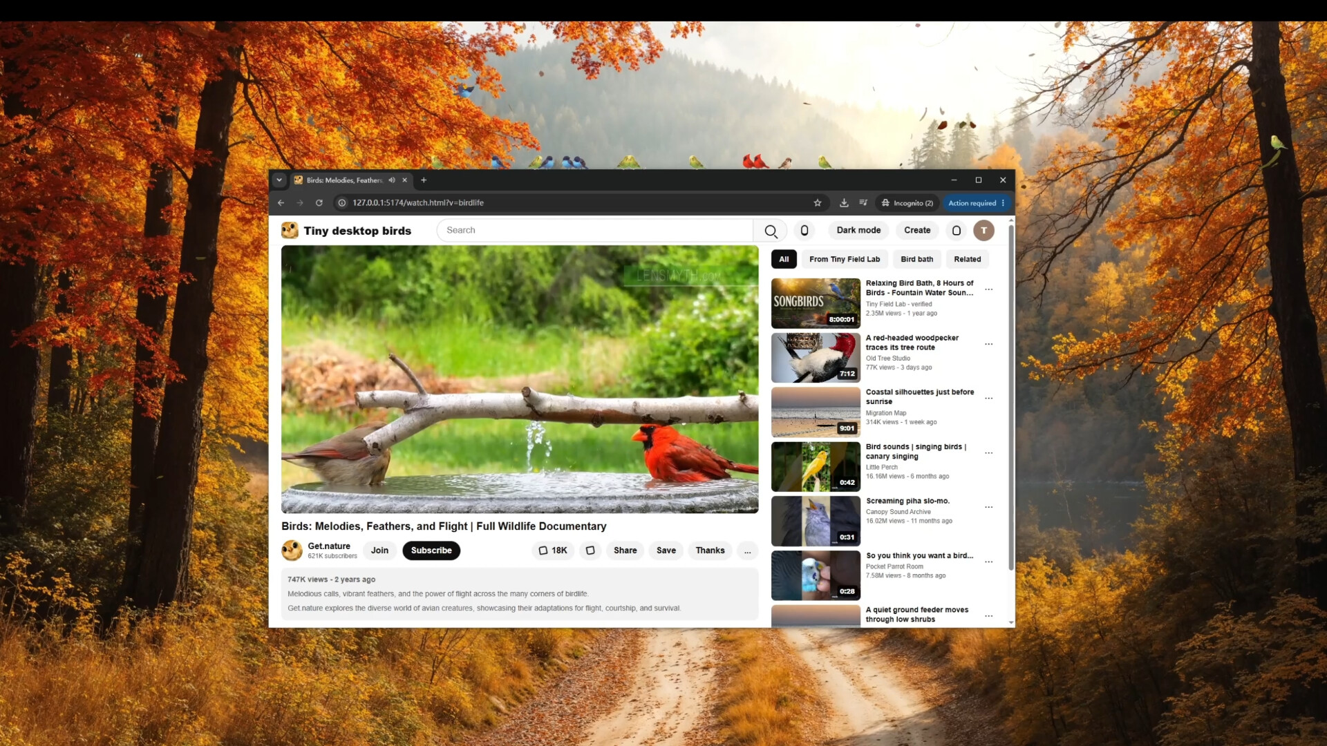 Screenshot