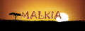 Malkia