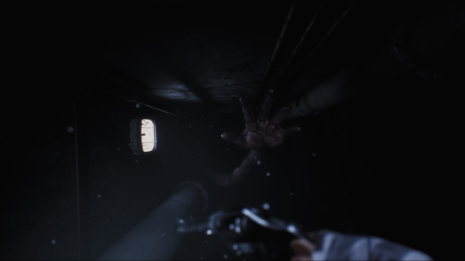 Black Lake screenshot 2