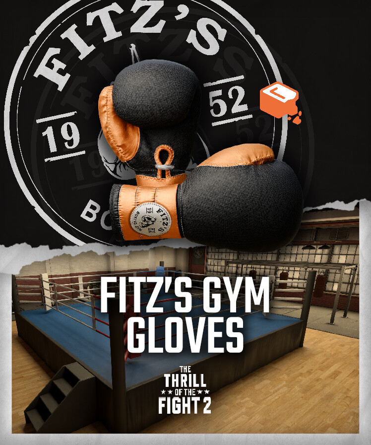 The Thrill Of The Fight 2 - Fitz Gym Original Gloves